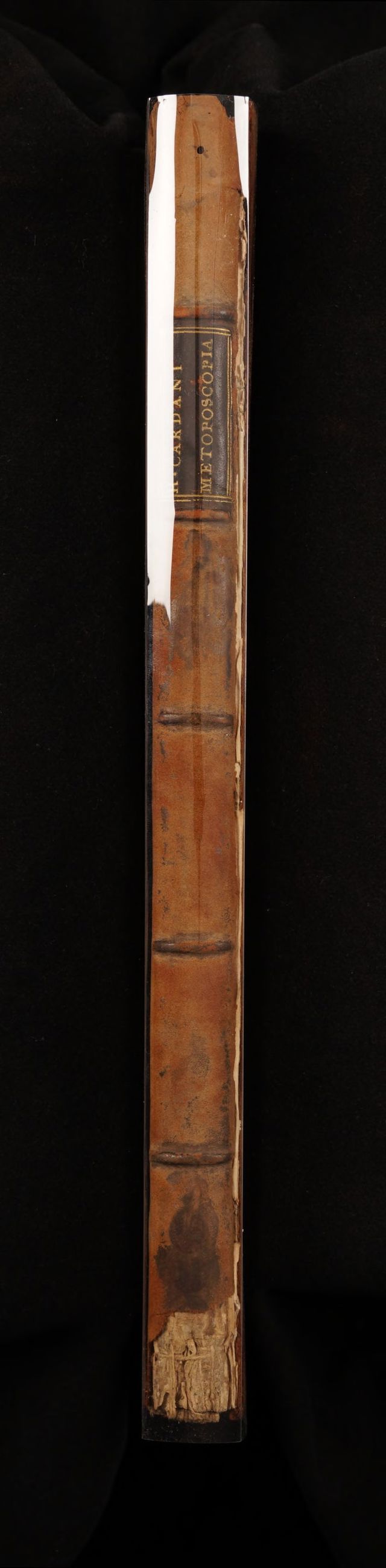 digitised image 2