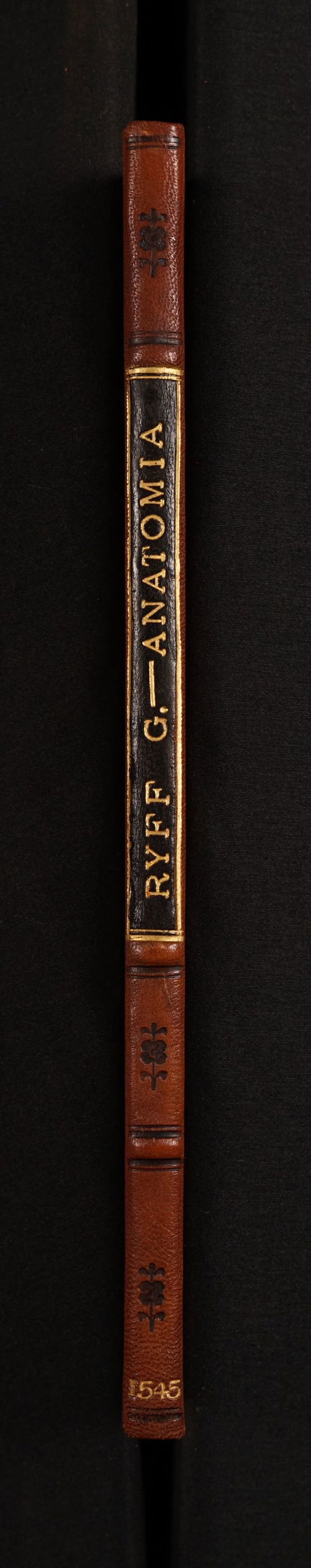 digitised image 2