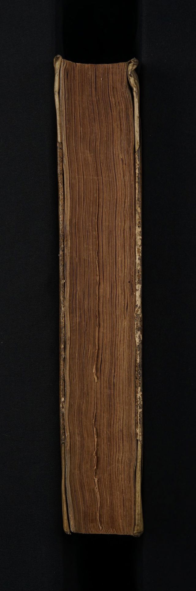 digitised image 3