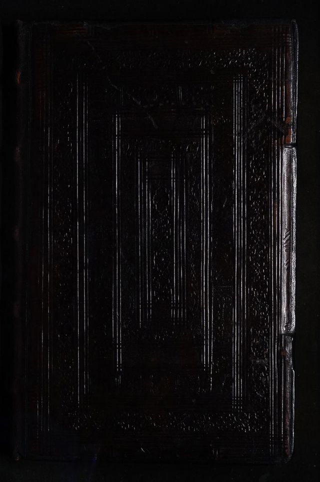 digitised image 1