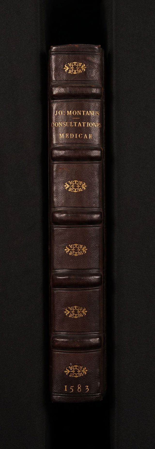 digitised image 2