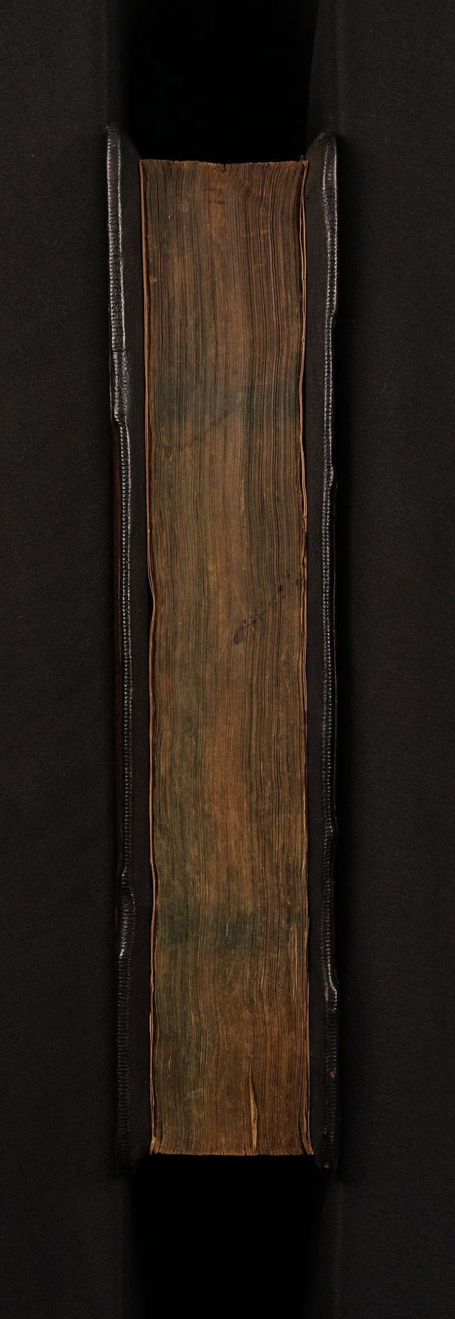 digitised image 3