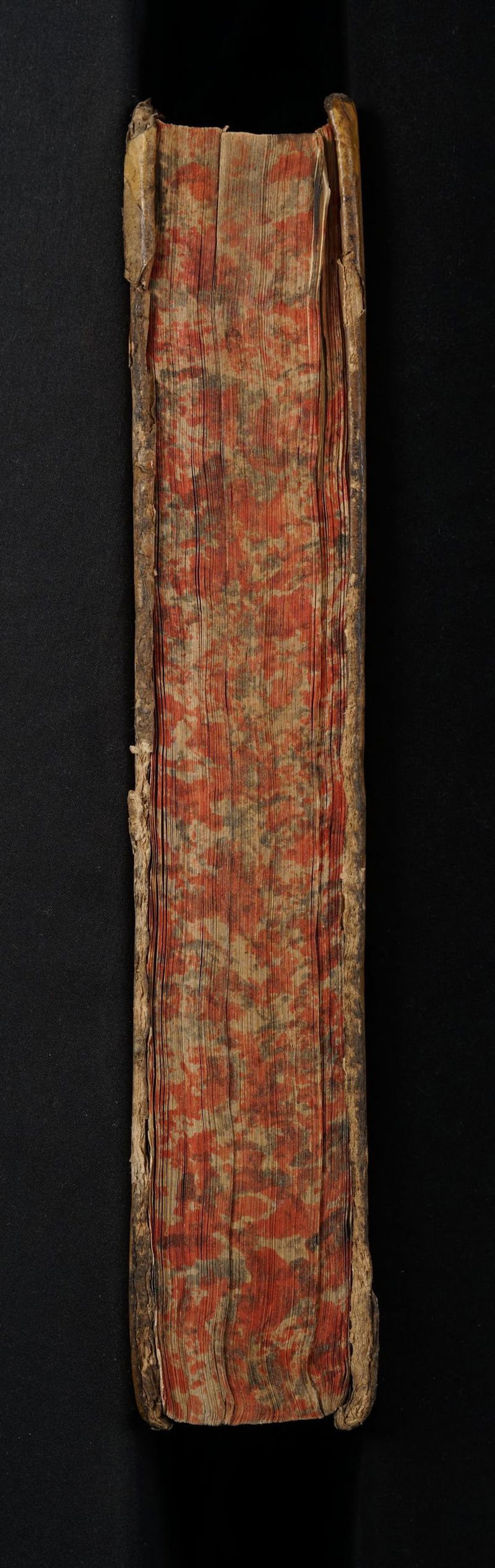 No text description is available for this image