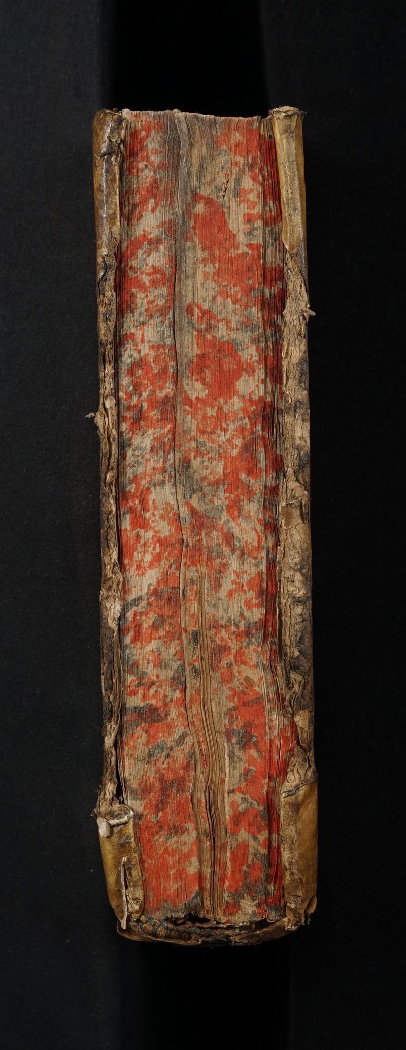 No text description is available for this image