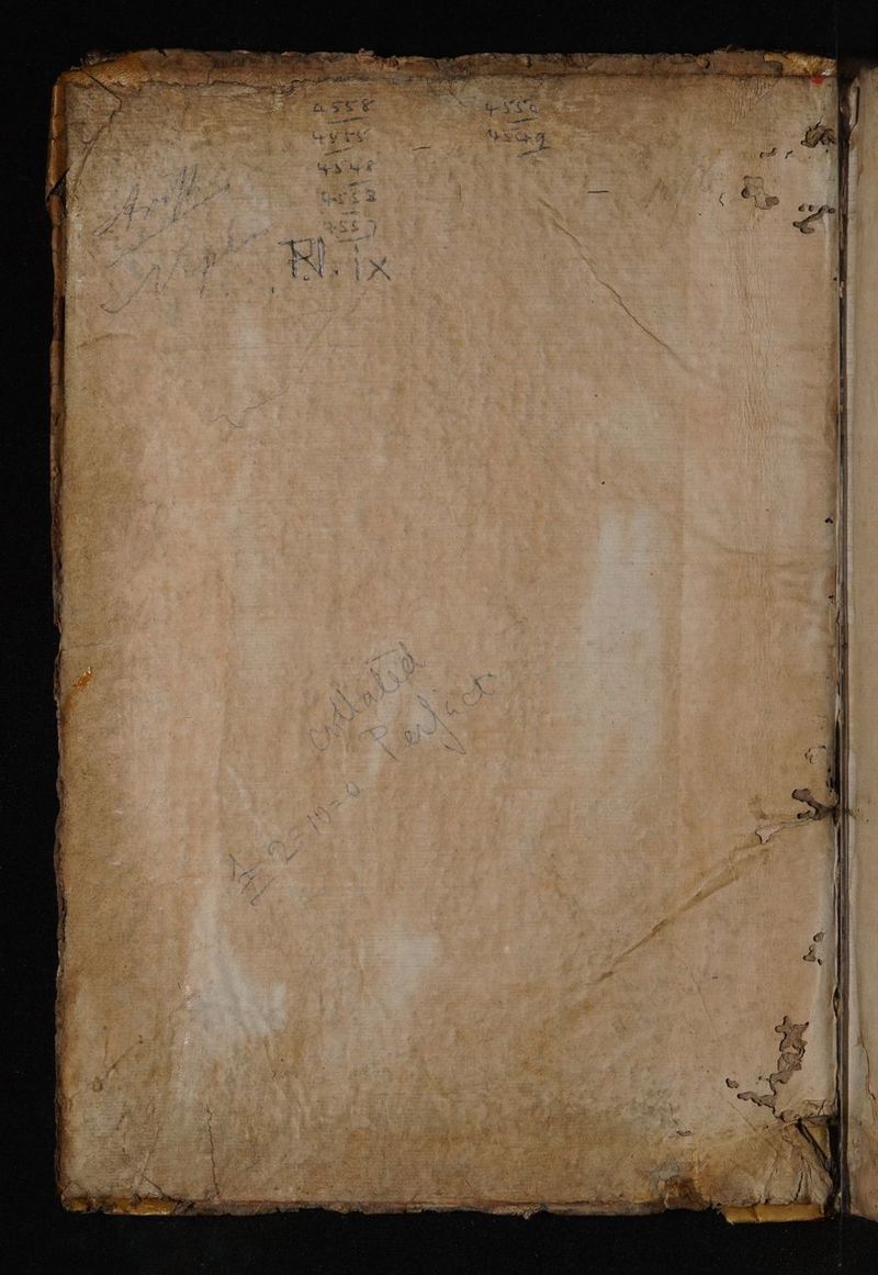 No text description is available for this image