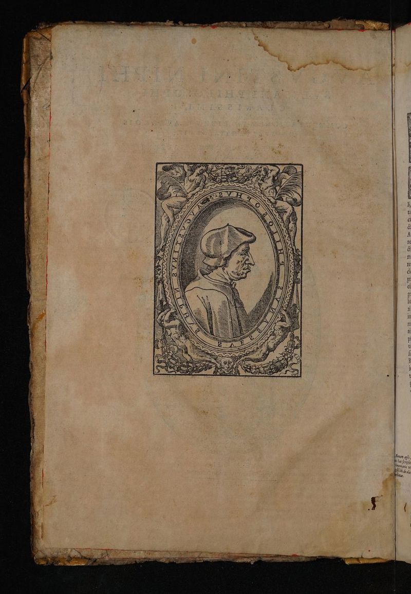 Y x Wn s K v j TM) (ef, ibfi 4 yt O hec f ment ayi ll dea, Wr. » r! A Cielat