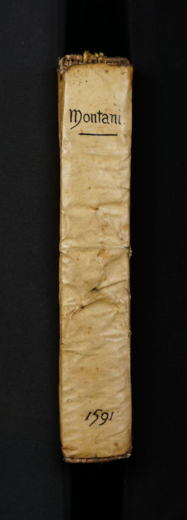 digitised image 2
