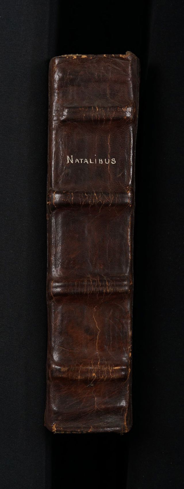 No text description is available for this image