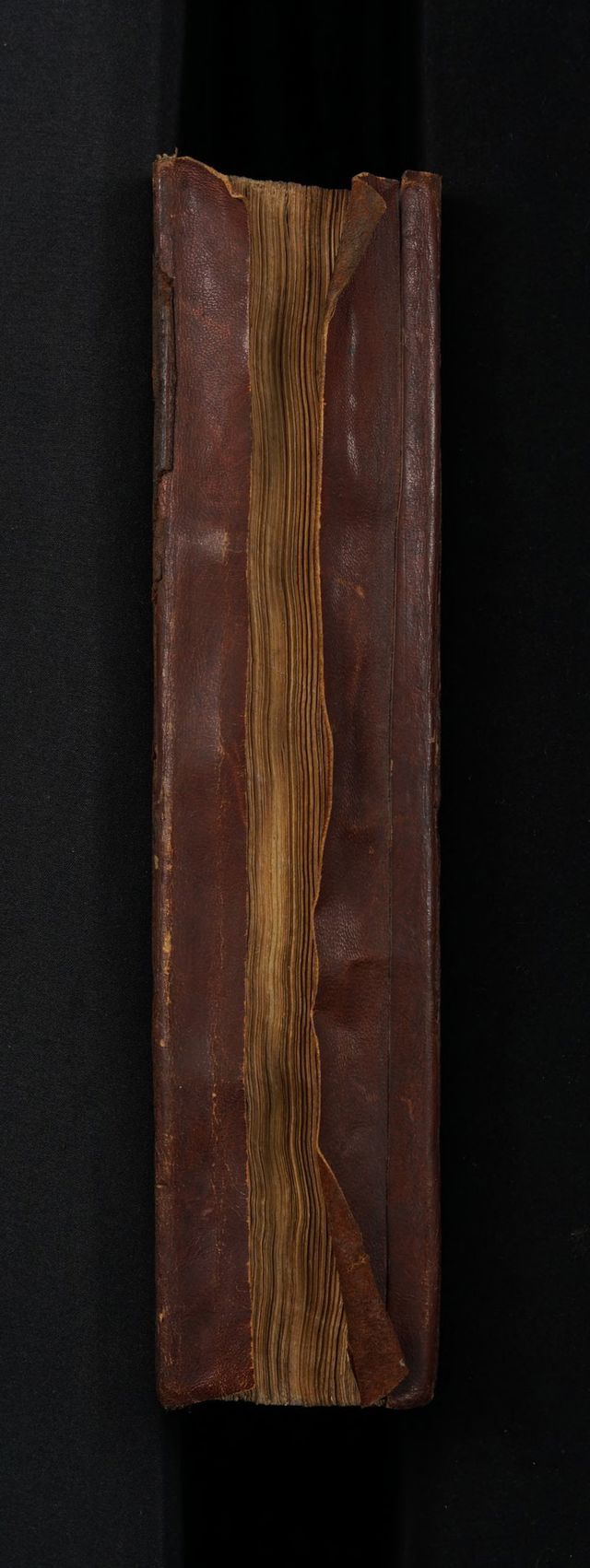 No text description is available for this image