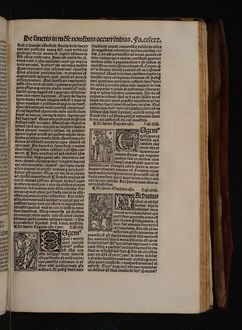 LA V Cni) IA ape Wd 1 Ori T pan 9 adt dj Ut (egy dei U mw Mga tna ni cef tíos] unte per rerpoh ben / A 1 hne ehe elan FLU npud  1 ipu aera (dE treni ifc petu Id fecſt:⁊ ieiunijs aſſuefecit. Puella vᷣo in ſancti⸗ tate vite pꝛoficiẽs annoꝝ txt. cepit verbũ oft pꝛedicare:vt per annos. i. iugiter xpᷣianos in fide ofííca confoꝛtare. Anno aüt etatis ſue. xl. romã venit:⁊ xpᷣm annũciare cepit epe impera toꝛis antonini. Pꝛefectꝰ aũt antonius audiẽs ꝙplures pꝛopter eius exhoꝛtationẽ cõuerſos ipius allectus pulchꝛitudine: vt occaſionẽ cá cognoſcendi captaret:cepit puellã ad deoꝝ ſa crificia inuitare. Quã ſacrificare contẽnentẽ: luſſit eã in terrà extendi:⁊ palmas ac pedes li⸗ gnis affigi atq; neruis crudis ventrẽ ei? cedi: lapidẽ quoq; magnũ vit a quattuoꝛ viris dela⸗ tum eius ventri ſuperponi. Oꝛante »o ſancta lapis diuina virtute longius abiſcit᷑:⁊ claui de ípius manibus ⁊ pedibus ab angelo euellunt᷑. uo viſo miraculo multi gentiliũ conuertun£. Et dũ baptiſmũ expeterent:nube celeſti obum bꝛant:ac voce de celo lapſa:imbꝛe ſuperno per fuſi baptisanf. Quos oco pꝛefectus in xpᷣi con feſſione iuſſit decollart. Sanctã aüt virginẽ in lebetẽ eneũ aqua oleo pice ac fulppure bullien tibus plenum immitti:⁊ diebus. vif. deſubter ignem lugiter miniſtrari:qulbus elapſis virgo diuina gratía permanſit illeſa. Quod dum pꝛe⸗ fectus ad videndũ accederet:aqua ebuliẽs eũ excecauit. Illa »olutü ex ſputo fecit:⁊ oculos eius linſuit:eiq; viſum reſtituit:⁊ ad æpᷣm con⸗ uertít. ¶ Inde accedens ad aliã ciuitatẽ rpm annũclabat:ibiq; a quodã allo imperatoꝛe not mine themio cõpꝛehenditur:⁊ ingenti dꝛaconſ Quí oẽs deuoꝛabat: exponit᷑: que ſigno crucis edito dꝛaconẽ diſcerpfit: demone p aera hoꝛri⸗ ad chꝛiſtũ conuerſus eſt. ¶ Deinde veniens ad tertiã ciuitatẽ a p̃fecto aſclepio detinet᷑:aquo in lebetem eneũ pice ⁊ oleo liquẽtibus plenum mittitur:ſed oꝛatione inde illeſa educitur:fra⸗ cto quoq; mof lebete per fruſta plures de aſtã⸗ TI abi iaa une od ict 1. (depo aſclepiusvenerandã oecollarí pꝛecepit:que ad paſſionẽ ducta:dum pꝛo cũctis ſe inuocãtibus etoꝛaſſet:audiuit vocẽ de celo fe ſuiſſe in omni iini, 0f ris qui penerabilítcr ſepeliuit. xviij. kalen. decẽbꝛis. Cap. lxij. Ageni Neßpus c martpꝛ apud ciuitatẽ ; A pariſiꝰ paffus — eſt. Qui cum Y effet diſcipulꝰ beati dionyſij edi paríficnfis ab eodẽ toleta⸗ nus pontifex oꝛdinatus et ad B jtPam vibé pꝛedicationis gia - miſſus ẽ. Et poſtq;; ibidẽ mul⸗ j^ WR titudinem populi conuertiſſet:deſiderio viden o magiſtrum vebeméter accẽſus pariſius re? dit. E um aũt perueniſſet ad locum quendã no mine diolum:qui a ciuitate pariſienſi quattuoꝛ milibus diſtat:a paganis tẽtus:⁊ ab eiſdem in confeſſione nois xpᷣi decollatus e(t, €. oꝛpus q eiꝰ in flumine beraſij pꝛoiectũ eft: ne a xp̃ianis inueniret᷑.Quod I5 oícbus pluribus clapfis de lituiſſet: nulla coꝛruptione violatum eſt. Poſtq; aute gentilium perſecutio ceſſauit:ſanctꝰmar⸗ tyꝛ cuidã bercoldo ipſius ville languẽti ín fom nis apparuit:⁊ ipſum ab infirmitate liberauit: atq; vt ipfum ſepeliret commonuit. Ille Xo ad coꝛpus accedens: illud ac fi ea die fuiffet decol latum inuenit:quod plauſtro impoſitum ad mo uaſteriuʒ ſancti dionyſij deferre curabat. Sed ofuíno nutu bob? vltra viri pᷣdiũꝓcedere nó va letibus:ipᷣm ibidẽ ſepeliuit: eccleſiã deſuꝑ edi ficauit:vbi ⁊ ad pᷣſens quieſcit miraculis eluce ſcens.qui paſſus eſt.vij. kal. nouẽbꝛis. ¶ De ſancto Eugenio ep̃o. Cap. lxiiſ. e. : iQ T epifcopus ce ſariẽſis apð . 1 ciui NA &amp;J (Cv tatem vita et e 05 fapientía lu⸗ sry eulenta ffoꝛuit: qui oꝛigenis auditoꝛ fuit:et eiuſdem eius mis mag i atq; pã phili martyꝛis bibliothecam coꝛruptã laboꝛe multo in mem⸗ bꝛanis reſtaurare conatus eft. Feruntur etiam valiſ multipliceſq; tractatus:quos noffe nó cft facile omnibus: qui et apud ipſam ceſaree ciui tatc in pace quieuit. IDec hieron mus lib: viris illuſtribus. s 0 ¶ De fancto Machuto epo. Tap. lxiiij. Achutus Ae pus: vt air fig j| €15 bertus: tẽpoꝛe 2 Aluſtiniani impe (| ato2ís in bꝛitãnia claruit: qui LL 1| parétíbus generoſis oꝛtus cft y ANB mfe iã plus db ſexagenaria: q V ſoꝛoꝛ fuit aimonis frarrís fcrt Alſcpᷣlſampſonis. Hec em̃ ad mo naſterium qo ðꝛ caruamina ex deuotoe cũ cet p̃gnãs deueniès filiũ machutũ fiue madoniũ futurũ monachũ enixa eſt:quem ſctũs bꝛãdanꝰ ipi? loci abbas baptiʒauit ⁊ edu cauit:fibíqs a parẽtibꝰↄmẽdatũ ſacris is ern dluit:ac mõachũ ſuũ fecit. ¶ Hic dũ eẽt adbuc puer die qdã cii ceterꝭ puerꝭ in littoꝛe ludebat ⁊ ab alijs ſecedẽs doꝛmitauit: cref. cẽteq; mare cũcti pueri receſſerũt:⁊ machutũ doꝛmientẽ oí miſerũt. FAuctꝰ itaq; locũ:vbi puer doꝛmiebat circũdãtes jfi ĩſulã dimiſerũt:littꝰ q; diuinitꝰ