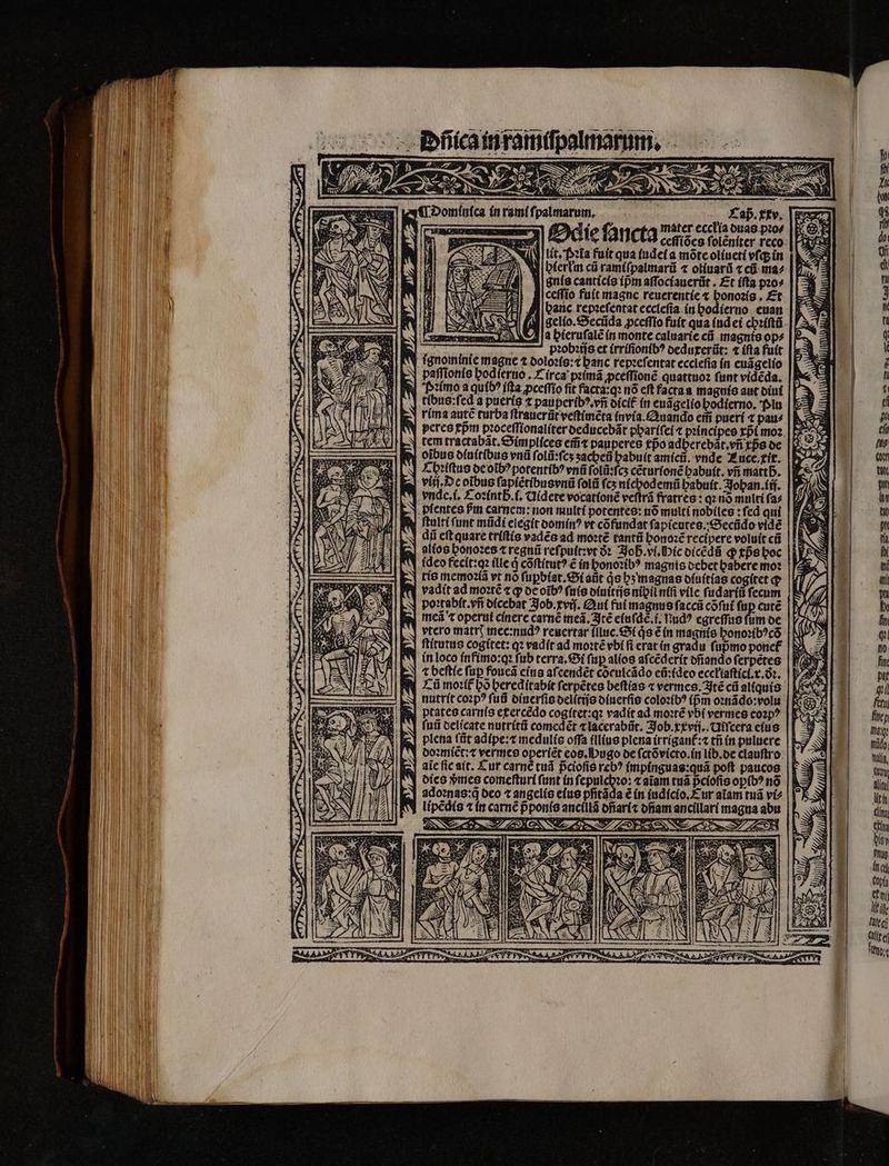 (pal SES T. D A 57 marum. almarum. a Zap.ttv. [Ex 1 mater ecctía duas pꝛo | Er S 7 Odie ſancta ceſſiões ſolẽniter reco lit. fozta fuit qua iudei a mõte oliueti vſq; in biertm cá ramiſpalmarũ ⁊ oliuarũ ⁊ cũ ma⸗ guía canticis (pm aſſociauerũt. Et iſta pꝛo⸗ ceſſio fuít magne reuerentie ⁊ bonozís . Et hanc repꝛeſentat eccleſia in hodierno euan gello.Secũda ꝓceſſio fuit qua iud ei chꝛiſtũ a G. / A . ILES A 2g Jem ew zm wücufr Ne eS i paſſionis hodſerno. Circa pꝛimã ꝓceſſionẽ quattuoꝛ funt vidẽèda. imo a qutb^ ífta ꝓceſſio fit facra:q: nó eft facta a maguis aut diut tibus: ſed a puerís ⁊ pauperibꝰ. vñ dicit in euãgelio bodierno. ftu |! rima autc turba ſtrauerũt veſtimẽta invia. Auando em̃ pueri ⁊ pau⸗ tem tractabãt. Simplices em̃⁊ pauperes tpo adberebãt.vñ tps de oibus diuitibus vu ſolũ : ſcʒ ʒacheñ habuit amicũ. vnde Luce. xir. Chꝛiſtus de oĩbꝰ potentibꝰ vnü ſolũ:ſcʒ cẽturionẽ babuít. vñ matt ß. vii. De oibus ſapiẽtibusvnũ ſolũ ſcʒ nichodemũ habuit. Johan. iij. vnde. i. Coꝛintb̃. i. Uidete vocationẽ veftrá fratres : qꝛ no multi fa pſentes Pr carnem: non multi potentes: nó multi nobiles: fed qui ſtulti ſunt mũdi elegit oomín? vt cõfundat ſapieutes. Secũdo vidé dii eſt quare triſtis vadẽs ad moꝛtẽ tantũ honoꝛẽ recipere voluit cũ alios bonozes t regni reſpult:vt ðꝛ Joh. vi. Hic dicẽdũ q cpᷣs boc deo fecit:qꝛ ille d cõſtitutꝰ ẽ in honoꝛibꝰ maguis debet babere mo? |TÀ tis memoꝛiã vt nó ſuꝑbiat. Si atit ds hʒ magnas ofuítías cogítet p vadit ad moꝛtẽ ⁊ q de oit? ſuis diuitijs niil ntfi vile ſudariũ ſecum poꝛtabit.vñ dicebat Job. xvij. Qui fut magnus ſaccũ cofut fap cure meã t operui cinere carne meã. Itẽ e(nfde. t. iud? egreſſus ſum de vtero matr? mec:nudꝰ reuertar fluc. Si ds € in magnis honoꝛibꝰcõ in loco infimo:qꝛ fub terra. Oi ſuꝑ alios aſcẽderit dñando ferpétes t beſtie fup foueã eius aſcendẽt cõculcãdo eũ:ideo ecełiaſtici.x.ðꝛ. nutrit coꝛpꝰ fud diuerſis delitijs diuerſis coloꝛibꝰ (pm oꝛnãdo:volu : fuii delicate nutritũ comcdét ⁊ lacerabũt. Job. xxvij. Uiſcera eius plena ſũt adipe:⁊ medulis oſſa illius plena irrigant᷑:⁊ tñ in puluere doꝛmiẽt:⁊ vermes operíét eos. Pugo de ſctõvicto.in lib.de clauſtro IV dies mes comefturi funt in fepulcbzo: «aiam tuã p̃cioſis opibꝰ no | A adoꝛnas:q̃ deo t angelis eius pfiráda € in iudicio. Eur aiam tuã vi- lipẽdis ⁊ in carné pᷣ ponis ancillã dñjari⁊ dñam ancillari magna abu IP: N x59 sa *