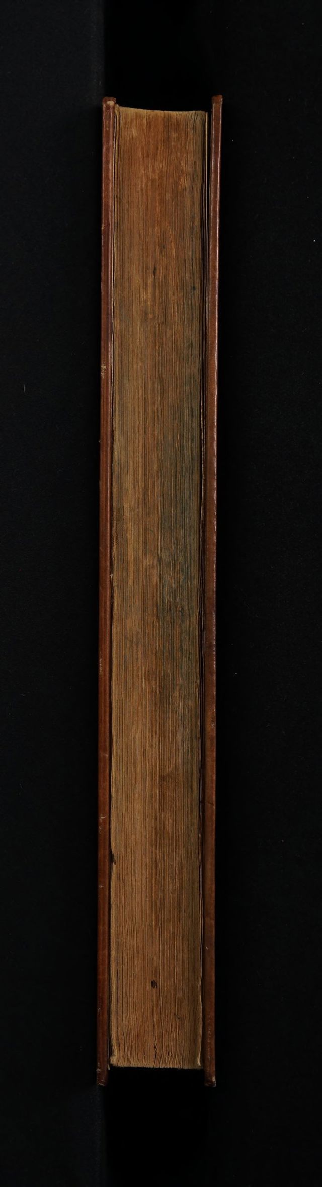 digitised image 3