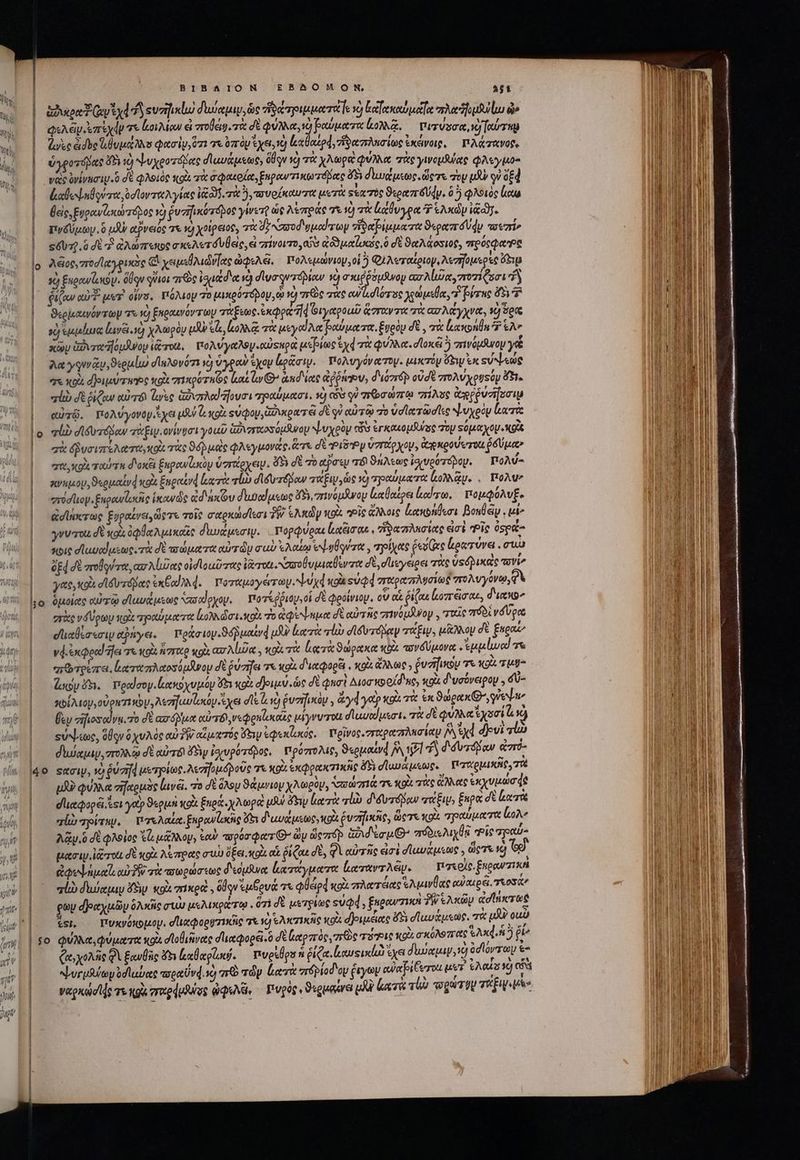 ἤν / Meu ἡ BIBAION £ BAOMON, Ἀ5Ὲ | Xo Go dd d sro dude ὡς πράτριμματάε v c enti uote orbe ὦ» φελᾶν.ἐπέχᾷν e ἀοιλίων εἰ ποθεῖν τὰ δὲ φύλλα, ἡ βαύματα log. πτιτύσσα, ἡ [oru || Vase ἀσυς μθυμάλλο φασὶν, ὅτι τε 070p ἔχει,νὰ ἰεαθαιρά, ἡδαπλκσίως ἐκένοις, πλάτανορς ὑγροτόβας ὄδη 1) ψυχροτόβμας σδ᾽ανάμεως; ὅδῳν 1) τὰ χλωρὰ φύλλα πὰς ywopsuae φλεγμο- vat ὀνίνασιυ.ὃ δὲ φλοιὸς toi τὰ σφακοία,ξηραντικωτόβας 45 διιυῤμεως. ὥςτε σὸν uy γ᾽ oEd | ἀαθοψαθούτα, ὀσϊονταλγίας 35. 795), τουρίκουτα μετὰ Ξέα τὸς ϑεραπγόύφν, ὃ ὃ φλοιὸς ἔμκω ' θεὶς, Ευρανίσιώτόνος νὴ ῥνπηικότοβος γίνετῷ ὡς λέπράς τε τὸ τὰ ἀάθυγρα Ὁ ἑλκῶν if. || ρδύμων ὃ μᾶν αξνειός τε v) χοίρειος, τὰ δύ ασοδομαίτων ἰϑαβίμματα epoca Udo vri» | sáx.6di d ἀλώπεκος σκελετόυθεὶς, i zrivoro as ἀδμαϊυσώς, ὃ δὲ ϑαλάοσιος, πρόςφαρε á Aéioe,zrod y pues € χειμεῤλιώνας asi, πολεμώνιοψ, oi ὁ Φιλεταίριογ, λεσηομερῖο ὄξιμ | sd) Enewlensy. ὅθῳν qoi πὼς ied ev) diva quóbiow κι σκιῤ δόμνου axr Ale, ro zi Qni ᾿΄ ῥί(ων QU? pr otra. πόλιον 70 μικρότοβον, o πῶς τὰς ew Ld ore χρώμεθα, βίτης ὅδ᾽ |. Otglezuvór rap τὰ vt) ξκραενοντῶν τάξεως expo 1d Θιγαροαῦ ἅσταντις τὰ ασλάγχνα, 90 ὅρις sg ἐμμέμιᾳ Lavéi.1) χλωρὸν uA el, oM ac τὰ μεγαϊλα βαύματα, ἕνρὸμ δὲ, πὰ ἑκακοηθα Ὁ ἕλ᾽ κῶν ἀῤυταἥόμδνου ἰᾷτοι. πολνγαλογ αὐςκρὰ μερίως yd τὰ φύλλα. σϊοκᾷ 5 πινόμανον γᾷ í λα γῳννᾷν,ϑερμίω dinVovér và) ὑγροαν eyoy Lo&amp;aw. πολυγόν τον. μικτόμ Go ἐκ sve «ἰὼ σὲ ῥίζαν αὐτό se ὡδιπλα!ῆονσι τραύμασι, x) cov οὐ σσωσώπῳ “πίλυς ἀφῤῥύσησσιμ αὐτῷ. πολύγονορἔχει μὲν ὦ, κρὰ suqoy, Gu war ei δὲ qi αὐτῷ πὸ ὑσϊατῶσῖες ψυχρὸν ἰιατὰ ' , m ertt κρὰ ταύτη δοκέι ξηρανζωκὸμ ὑσπέρχειψ. ὄδι d τὸ αὖσεν r8 ϑήλεως ἰσιυρόποδου. πολύ- aniio, ϑερμαίνά KoX ξπεραίνά κατὰ τίω σιδυτόρων qWEW dx X) “πραύματα κολλᾷν.. πολὼν στθσῖιομ. ξπρωνίυσις ἱκον ὡς ἀδιάκζου deduc ὄδγ, πινομᾶνον ἰκαθαίρει lod, πομφόλυξ- ἀσϊήνατως Egpatvst eve τοῖς σαρκώσίεσι δὴ ἑλκῶν wok. “Εἷς ἄλλοις ἀακολήεσι βουθέᾶμ. uk γνυτοιι δὲ ol ὀφβαλιεικαῖς δευάμεσιψ. πορφύραι ἰμαξισαι, ἥδαπλησίας ἐσὲ “Οἷς ὀσρα- κοῖς σϊαυαίμεως. τὼ δὲ ττώματα αὐτῶν au ἐλαίῳ ἐψηθρύτα, τηρίχας Gene ἐρατύνει. cua ded dali ret, ασλίιζας οἰδιοαῦτας Verrott Nm uerit δὲ, σιιεγειρει τὰς vs diae navi yet, colt σϊδυτόδας ἐκξαϊλλά. γυταμογέτωμ. ψυχά xoa sved στωρασελυσίως πολυγόνῳ,φὰ  ——— στὰς νδύρων κοὰ; τραύματα lo diat. τὸ ἀφίνημα δὲ αὐτῆς πινόμλνον, rue roi νδύροο οιαθέσεσιυ epnye. πράσιον. ϑόβμαίνᾳ iX Leere τίὼ difta qw, μᾶλλομ σὲ ξπραί, vd. ἐκφρα!ῆει τι κοὰ ἧσταρ κοὰ ασλίῶα, κοὶ τὰ lect ϑώρακα bx πονδύμονα εἸμμίωαϊ τα “πὠτρίπα. ἐαταπλαοσόμανομ δὲ ῥύσῆει τι «gi διαφορξι, oix ἄλλως» ῥυσῆικον τε Kou Tug ἕν P. πραΐσογ.ἐιακοχυμύψ 5x vo deus. doo δὲ Quat Aur o oí due, uo d'vebveipop , σὺ- κοίλιον,οὐρκτινὼν, λεσηαυϊοκόμεῖχαι dl so) ῥυσήικὸμ. ἄγᾳ γον xo τὰ ἐκ ϑώρακ(θ yen θὲν σἤιοπαἶνῃ. τὸ δὲ ασόῤμα αὐτόν, νεφρκίοκαῖς μίγνυτοι σιωυοίμεσι. τὰ δὲ φύλλα ἐχοσί ü ij εὐνίως, ὅθον χυλὸς αὐ δὲν αἵματός eap ἐφεκζωκός, πρῖνος, ταραπλησίαν MV eyd dvi τῶ διυύαμιν, πολλῷ σὲ αὐτοὶ δὴν ἰσιυρότόδος, πρόπολις, ϑερμαίνᾳ ἦὰ P1 δόυτόβδαν ἀστό- pA? φύλλα zifouae lava. 7o δὲ ὅλου ϑάμνιον χλωρομ, Acto a7) e σε (QU. τὰς ἄλλας exui de duetQopéi ssi yotp ϑερμὰ κοὶ Enea χλωρὸ μὴν ὄξιυ ἰατὰ τἰὼ διδυτόμαν τάξιν, ξκρα δὲ beri ali πρίπεν. ὕτελαΐα. pupouache (fiy διαυάμεως, κοὰ ῥυσήικῆς, ὥςτε κρὰ πραύματα loe λᾷν ὃ δὲ φλοίος ls μᾶλλον, Sou πορόσφατίθ' ὧν ὥςπόρ Gd ou 7 πόδιελιχθᾷ “ἴς σπραύ- μασιν lot δὲ κοὰ λέπρας συὼ ὄξει. ott o ῥίζαι δὲ, QV αὐτῆς eimi σϊαυάμεως , ὥςτε vd δι ; ἀφυψήμαϊ, αὐ PW πὰ πτωρώσεως δεομδνα ἐκκτάγματα ἰαταντλέμ. πχερίο, fugerit al δωύαμιν ὄδιν κοὰ mixed. , ὅθῳν ἐμδουά τε φβάρᾳ κοὰ πλατέιαςἙλμινθας αὐαιρέι, τιοδαν ρὼν δραχμῶν ὁλκῆς σιὼ μελικρώτῳ. ὅτ) δὲ μετρίως sud , £ugeurzixa TW ἑλκῶν detinere ien πυκνόκομου. e'lorpoptrziie τὰ y) eArezicic xoi djeuséuce 45 σἱαυάμεως, τὰ uA oun Cet xoAie θὰ ξαυθῆς ὄτι μαθαρίυ. — ves n ῥίζα. los ἔχει duse, ὀσίόντων e ψυγμάγων δόϊαύας τοραὔνᾳ. xc) ar τῶν ber “πόρίοδον Quy epi Cero ux? ἐλαίαν (δὰ ναρκῴσίς τε οὶ σγαρφμθόσς ὠφελθν, Τυρόρ, ϑερμᾳίνα ut lacri τί qu TW TEN