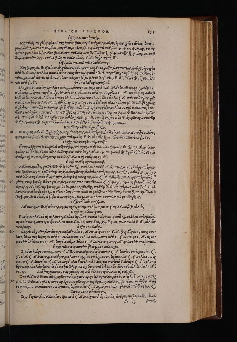 | ὀξύμελι azAluixty. Καππαϑρεὼς $e φλοιδ, σκολοπενα)οίσ, vetodlos e vuoo ἀσάρσ, ἔρεως, vols ἄνθος, ξυπὶν poc ὄνήσς, ovas lou rss, apodo, ops, aue καρπὸ owe Jo. μνούσις φύλλαν, ἑτίας ᾿ς φὐλλωρ,σελίνα ῥιζες, σἱενοϊοολιβαύσ, σκίλλης οὐαὶ [o 6. ,ὅξσς ξ.γ,, μέλιτι’ ξ.γ,ἐμμωνιακᾷ | OvuguaT GO fo, y «xa Qs ὡς To cauli d Mots ἰοχλιάρια. B. | ὀξύμελι 7roup 7rQe λιβιῶντας, | Σαρξιφαγὅς, Besfovixut ἀγρώςεως, ἀσϊιαυτο, veted'osqyv GP, lrxpmrurieo datos ἐρυγγία |. ec Jo.« repos Mis μακεσονικῶ, yas ασερμαῶς fo. S «μαράθρυ xAves, ἴρεως, σκίλλκς o^ |. ape χαμαιδ' φνης αὐ Jo, B. κππάρεως ῥίζις φλθιξ [6.γ.σίων Jo, B^ ud ez G^, ὄξος,μῖλε to σὸς οὐκὶ ξ .(, Φασκῷ λίθωμ ϑρουγήικη, | τλύχωνιΘ',μαςίχης, σελίνα ασέρμα, fid vog as Fue owe Jo.et . ἁλός low ποιφρυγμθύς At. |. «ooi ασέρμα, vaod'oscd vv, o) áo s, üsustog αὐᾷ rg.s φύλλα Γρ στ ,arezreestoe λδυκῷ |. fe. κοινδ, o.c .λιβοσπτερματθ’ Jo.s βεῆονκηο fo.s . ose &amp;xAS ξ τι σαντα lal ae xo ᾿ς esie κοὰ ρέψας λειότατα, iA ἡμέρας y 4 yvut τῷ ὁξ4, κοὰ ἡλιξ ἡμερας ἐξ «(δὶ δὲ Qi jac avenue vro ee μελαύωμ δῥεβινόωψ. κοὰ ἀσπαράγων ῥίζας, ouis 7^. κρὰ ed ow, «ario |. Ehe εἰς ἀρᾶσιψ αὐτόν Β΄. ΚΘ τό ὄξος v) ron (s Pp ἰκάμνοντα qu τῇ ϑερμᾷ T βαλανάς ἐμξαν |. ed. τινὴς dE ἀρ Ὁ λεχθέντων eidldy ξκοίς rp .i B. συὼ δξυκράτῳ ἐκ T ἐρυμλύων Boravüy | ἀφεψηματθ᾽ ζιρναμβύῳ σιίσϊωσιποὰ ὁσὲν ἡ [oy d]e&amp; τὸ φάρμαπομ, | Kovdlizoy λίθων ϑουγῆι «OU. |o πεπέρεως Ad xe. (ὡρξιφάγσ,ναρσϊοςάχυος, λιθοασίρμο, Beafovixne ew o. «πιρυσελίνο, |— QUAS ed o.c S ptr ys &amp; yes careoumOe. Jo. S. μἑλιζς E. οἷν qo xi AVETE. is. | Τὸ οἵᾳ 78 πραγίου αἵματθ’. ! | ὄταν aPEU TOU ἢ «αφυλὴ πόρκαζειν, 8 τράγου T ἡ λικίων quaes πὸ αἷμα λαξὼν ὦ s^ || ἴρανας οὐ ἡλίῳ, didis Gic λιβιῶσιμ ἀπὶ cuit. loy Med «e . μετὰ γλυκέ lroul.na darse σὲ κοὰ | Qus) φύλλα pr ysci ew Jo, y «ἄλλοι dj σμύρνης rg. d^, H ea: 7i yay γεφρπίυκῴ, Λιβοαπιρμαῶς, fa QiAG- 7 ἰχθυθ’ Ke σισίλεως cua Κις, ἄμμιως, σικὺς ἡμέρυ ασερμαν σὸς, (ἀρξιφοῦγυ, Ξαφἰσίωμ ἐκγιγαρζισμθύων, ἀλθαίας ασίρματος, φασιόλυ λδυκδ,λυγγύρου | — οὐαὶ fo. S .vatedlostéyv ,φξ, us, λίθων deg caro yy, αὐ «΄ «e ἀδιάνίσ, πταλιέρο ασἱρμαΐος T (89 οὐνοι,σίων ξηρῶν, βάτο ῥίζας, ἀγρώςεως, ze v modis αὐ «΄.γ oct αἱμαὺς ξαρανθενῶς ὡς | een rg.s -eflirap ξηρῶν χωρὶς ἀεφαλῆς, περῶν, vod üy Jc. df ᾿ιποεπέρεως λόδυκξ «΄.ς .μὲ | Διὸς ἀπεφῆς τὸ app. ἡ d orig lots zrov cs aye D^ ἐς Lordieroy ἢ ἀπόξεμᾳ pube à | (ἀρξιφαγῦς ἢ σίνων ἢ ῥίζις ζασαράγωμ ἢ ἀγρώςεως ἢ τοινταφύλλυ ἢ sputo ῥίζερ, | H d]. cn λιβοασόβδμον. Λιθοασίρμν, βεῆονίκες, (χρξιφαγδς, τουτρυσελίνου,τσεπέρεως Ad USA Gr ue, Ἡ σῇ apa az sous, 1 »Ἕ» ὃ t , 6g. o Pour Y f Ui Πεπερεως Abos x) μελανοῦ. σίχυκα ἀρκἀκδισιυκύν AIEO ax eoo uet oac oos ag«puer[oe s | πρασίσ ασέρματος, τσερυσελίνο μακεσίονικδ, τονρέθρο, ζιγγιξέρεως, φύλλα αὐὰ [0.ο;, μέλιῷς | ποαῤκόυ. H σὰ τηκολίθον. Wo ᾿Ναρσϊοςάχυθ᾽, ὑοσώπο, τακολίθ αὐοὲ rg . πσεπτέρεως rg 4 D^ ζιγγιξίρεως, πσετροσεν ᾿ς Λίνον oss σικρξιφαγᾶς eua rg s ltosiac «Ava αστρμας οὐ rg y «ἰυπέρσ rg.s . pia κατ’ GA e dou oe rg«d ἐαρδιαμώμο ξύλα rg. ,λινοσπέρμο rg.d T μέλιτι’ P tiu. a H df T σπίρματθ' φὶ ἀγρίας μαλαΐχπς, Σικύου ἡμέρου σπέρματος 4 B.vorxvoluov σπέρμα «C .s κωνίου σπέρματος. c ἦ ᾿ς yo δὲ «΄.« ὑπίου,μαραϊύρου, μαλάχης ἀγρίας σπέρματος, lions eg «΄.γ.σελίνα σπέρ ματος ς΄ ς ἰαοσίας «C vU «ἀμνγδαλα Gora τ, pua rov i qoos «΄ .δ΄͵ γλυκῶ Loy eua aeos ve) didus ῥριόθολομ ἀπυρεῶις μετὰ Ng Oe avec σὲ wA, ow A aee νοσιν. Aug βαγκμάτων νεφρπεζικὸμιγὴ πρὸς ἑλκωσιψ ἔύφεως τὸ νεφρῶν, er de Z ru Qjdloe λόυκῆς ἀφπρημθύρς τὰ γίγαρτα, σροβίλων προσφάτων cu Jo.G mius cari |$0. utz G^ λελεπισμλύσ, vera drosetiaquu/ay, πικρῶν ἀμιγσίαίλων, φοινίκων ADD, EAE | — ψοσπέρματος, μήκώνος σπίρμαϊοο»ἰερόκο ou «΄ .&amp; σμύρνης [6.8 .γλυκᾷ σόμζενύσιν, « . | «. . Σατυρκακὴ ou) Tid lone, Ζιγγιβέρεως, Ger uods edv Qus cula C ei miirysas T ὀραφιμάν, ὡσάρα, toc pores , le 4 διαμὼν MPs