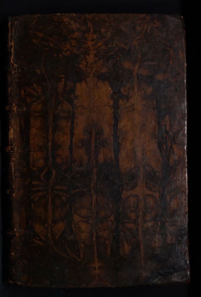digitised image 1