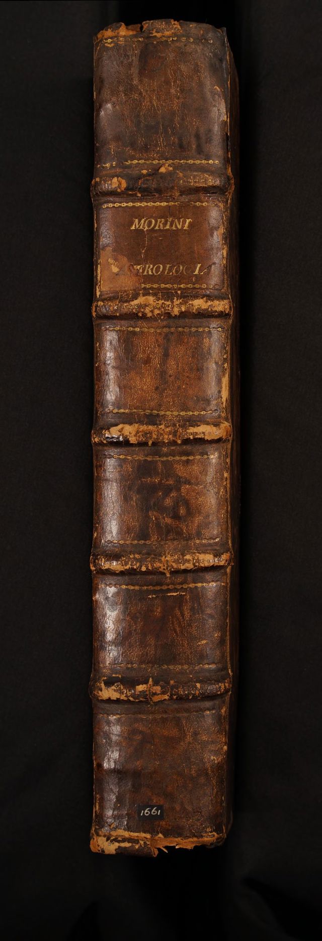 digitised image 2