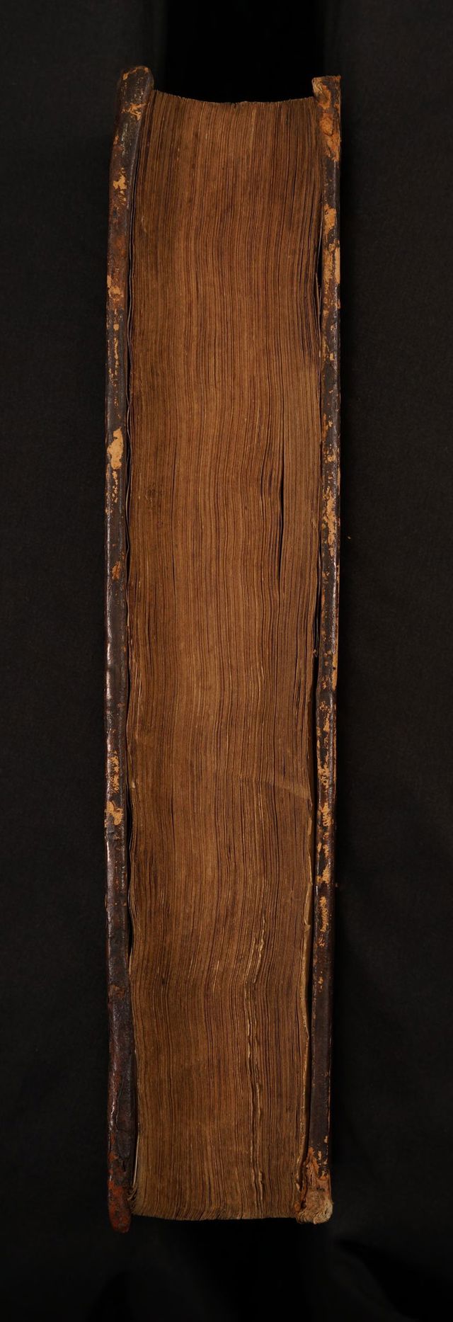 digitised image 3