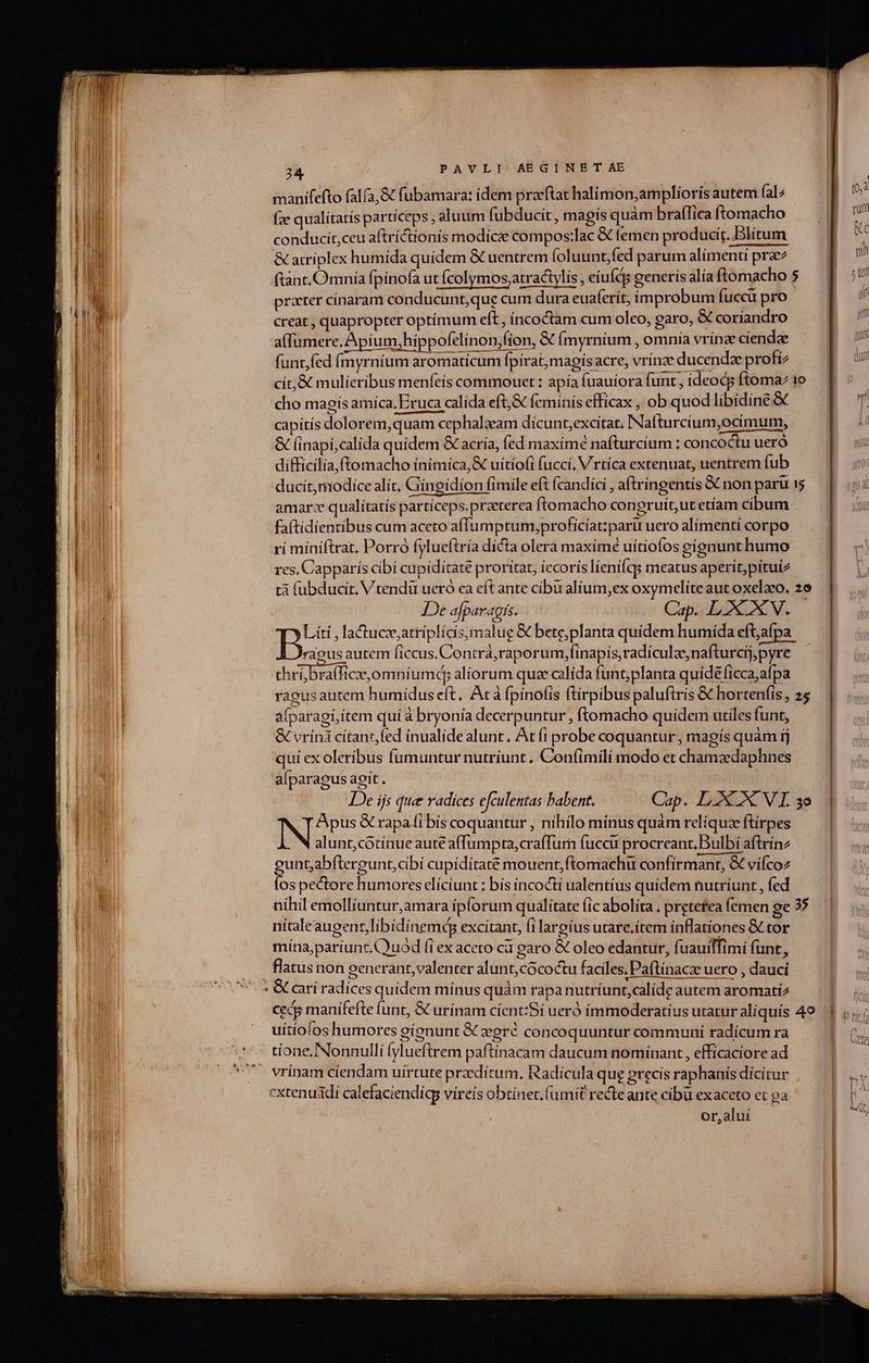 manifefto falía,&amp; fubamara: idem proeftat halimon;amplioris autem fals (ze qualitatis particeps , aluum fubducit, magis quam braíTica ftomacho conducit,ceu aftríctionis modice compos:lac &amp; femen producit. Blítum &amp; atríplex humida quídem &amp; uentrem foluunt,fed parum alímenti prae ftánt. Omnía fpínofa ut fcolymos,atractylís , eiuf generis alía ftomacho 5 prater cínaram conducunt, que cum dura euaferít, improbum fucci pro creat , quapropter optímum eft , íncoctam cum oleo, garo, &amp; coriandro a(famere. Apium,hippofelinon;fion, &amp; (myrníum , omnía vrinze ciendae funt,fed (myrníum aromaticum fpírat,magis acre, vrínze ducendz profi2 cho magís amíca, Eruca calída eft,&amp; feminis efficax , ob quod libidine &amp; capitís dolorem,quam cephalsam dícunt,excítat, INa(turcíum,ocimum, &amp; (inapi,calída quídem &amp; acría, fed maxímé nafturcium : concoctu ueró difficilía,ftomacho ínímíca,&amp; uitíofi (uccí, Vrtíca extenuat, uentrem fub ducit modice alit, Cringidion fimile eft fcandící , aftríngentís &amp; non paru i5 amare qualítatís partíceps.preterea ftomacho congruít,ut etíam cibum . faftidientibus cum aceto affumptum,proficíat:;partr uero alímenti corpo xí míniftrat. Porró fylueftría dicta olera maxime uítiofos eíonunt humo res, Capparís cibi cupiditate prorítat, iecoris líeniíqgs meatus aperít,pítuíz tà (ubducit, V tendu ueró ea eft ante cibixalíum,ex oxymelíte aut oxelzeo. 2e 75: afpara I5. Cap. LXXXV. Liíti , lactuce,atríplicís,malue &amp; bete;planta quídem humida eft,;afpa. D on autem (iccus,Contrà,raporum,finapis,radículze,nafturcijppyre chrübraflficeomni umd; aliorum quz calída funt;planta quídé ficca; afpa ragusautem humidus eft. Atà fpinofis ftíirpibus paluftrís &amp; hortenfis, 25 afparagi,ítem quía bryonía decerpuntur , ftomacho quidem utiles funt, GC vríni cítant,(ed inualíde alunt. At (i probe coquantur , magis quàm ij qui ex oleribus fumuntur nutriunt. Conf(imilí modo et chamzedaphnes alparagus agit. JDe ijs quee radices efculentas babent. Cap. LXX. VT 3o INE &amp; rapai bís coquantur , nihilo mínus quàm relíquze ftirpes alunt,corinue aute affumpta,craffum fuccu procreant.Bulbi aftrinz unt,abftergunt,cibi cupiditate mouent;ftomachu confirmant, &amp; víícoz E. pectore humores elíciunt : bís incocti ualentíus quidem nutríunt , fed níhil emollíuntur,amara iplorum qualitate (ic abolíta . pretefea femen ge 35 nítaleaugent,libídinemedg excitant, fi lareíus utare.ítem inflationes &amp; tor miína,paríunt,C)uod (i ex aceto cà garo &amp; oleo edantur, fuauilfimíi (unt, flatus non generant, valenter alunt,cócoctu faciles, Paftínacz uero , dauci Ie k ; DL ; j uítiofos humores gignunt &amp; egré concoquuntur communi radícum ra tione. Nonnulli fylueftrem paftínacam daucum nomínant , effícaciore ad extenuddi calefaciendígs vireis obtinet. fumit recte ante cibü exaceto et pa or,alut
