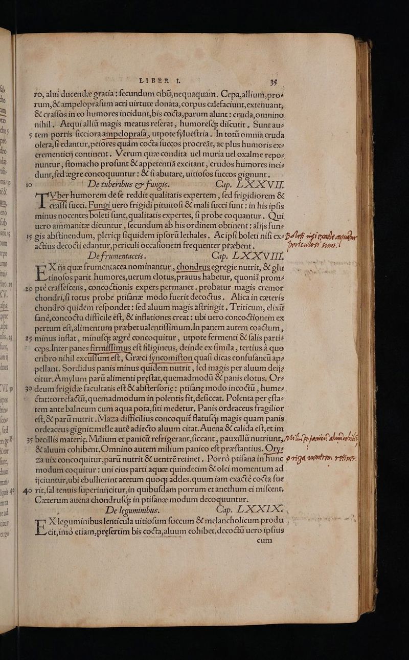 fo, alui ducenda eratía : fecundum cibirnequaquam. Cepa;allium;pro^ rum,&amp; ampeloprafum acrí uirtute donata, corpus calefaciunt,extehuant; &amp; craffos ín eo humores ínciduntbís cocta,parum alunt : cruda,omníno nihil, Atqui alli magís meatus referat , humorefiüg dífcutit , Sunt au ; tem portís (iccioraampeloprafa , utpotefylue(tría. In toti omnía cruda olera;fi edantur,peíores quàm cocta fuccos procrcát, ac plus humoris exz crementícij contínent, Verum quze condíta uel muría uel oxalme repoz nuntut , ftomacho profunt &amp; appetentià excítant , crudos humores ínciz dunr,fed egre concoquuntur : &amp; (i abutare, uítíofos fuccos eíonunt T | De tuberibus eo» fungis. Cup. LX VIL T2 humorem defe reddit qualitatís expertem , fed frípídiorem &amp; craffi fucci. Fungi uero frigidi pituítofi &amp; mali fucci funt : ín hís ipfis mínus nocentes boleti funt, qualítatís expertes, (i probe coquantur .. Qui. uero ammanitze dícuntur , fecundum ab hís ordínem obtínent : alíjs funz actius decoctí edantur, periculi occafionem frequenter probent, Ie frrumentacers . Cap. LXX. VII ES js quae frumentacea nomínantur , chondrus egregie nutrít; &amp; ol u tínofos parit humores, uerum clotus,prauus habctur, quonía prom2 2o pte crafTeícens , concoctíonís expers permanet. probatur maoís cremor chondrí,(i totus probe ptííanze modo fuerít decoctus. — Alíca ín cterís chondro quídem refpondet : fed aluum magis a(tríngit , Triticum, elíixu (ané,concoctu difficile eft, &amp; ínflationes creat : ubí uero concoctionem ex pertum eft;alimentum prabetualentíflimum.In panem autem coactum , :5 mínus inflat, mínufcy gré concoquitur , utpote fermentí &amp; falís parti? ceps.Inter panes firmiffimus eft filígineus, deinde ex (imila, tertíusà quo cribro nihil excufTum eft, Girzci fyncomifton quafi dícas confufaneu apz pellant, Sordidus panís mínus quidem nutrit, fed magis per aluum deijz cícur, Amylum paru alimenti preftat,quemadmodu &amp; panís elotus, Orz 39 deum frígídze facultatis eft &amp; abfterforíe : ptífang modo íncoctu ; humez. ctat:torrefactii quemadmodum ín polentis fít,deficcat. Polenta per eftaz tem ante balneum cum aqua pota,fití medetur, Panis ordeaceus fragilíor eft, &amp; parü nutríc Maza difficilius concoquit flatuít magís quam panís ordeaceus gígnit:melle auté adíecto aluum cítat. Auena &amp; calída eflet ím &amp; aluum cohíbent,Omníno autetmi milium paníco eft praeftantíus. Oryz modum coquitur ; uní eíus parti aquee quíndecím &amp; oleí momentum ad . tjcíuntur;ubí ebullíerínt acetum quoq addes.quum íam exacte cocta fue Ceterum auena chondrufd ín ptífanae modum decoquuntur. i De leguminibus. Cap. LXXX , T7 X leeumínibus leritícula uitiofum fuccum &amp; mclancholícum produ , | ERR etíam,prefertím bís cocta;aluum cohibet, decoctü uero ipfius cum