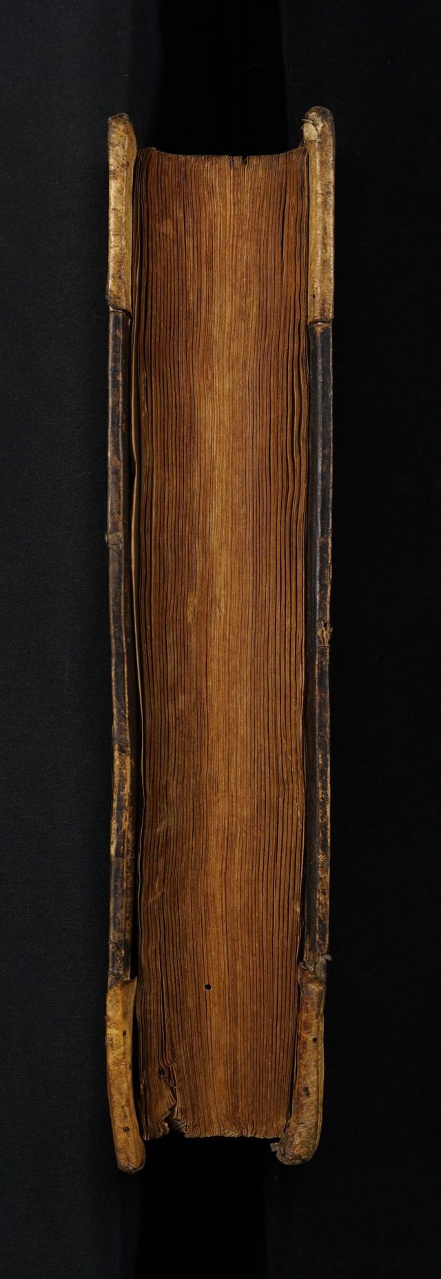 digitised image 3