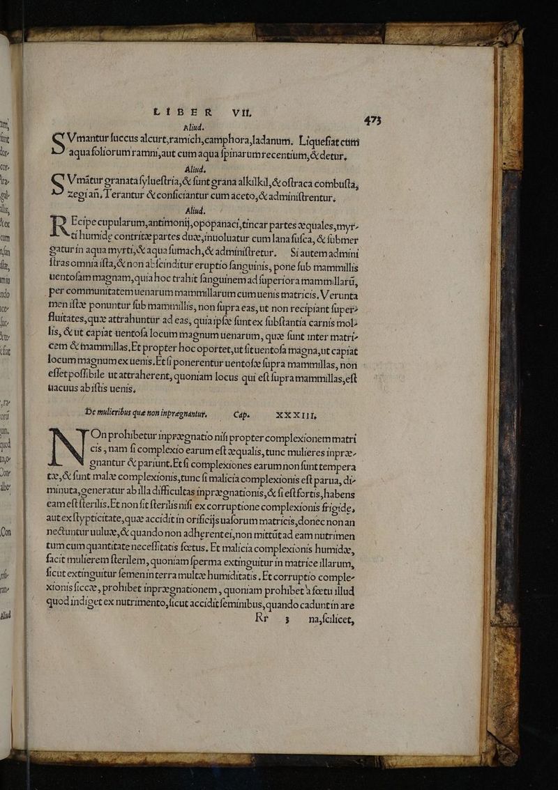T lid psit mS a ri o ct D en UR nre e e e MERIT e Lm ————————9 LIBER V IL, Aliud. | j S V mantur fuccus alcurt,ramich,camphoraladanum, Liquefiat citi aquafoliorum ramni;aut cum aqua fpinarumrecentium,& detur, | | Áliud. e ! S Vimátur granatafylueftri a,& funt erana alkilkil &oflraca combufta, zegian, Terantur &confictantur cum aceto, adminiftrentur ; : Aliud. R Ecipe cupularum,antimonij;opopatiaci;tincar partes cqualesymyr- ti humide contritze partes duse ;inuoluatur cum lanafüfca, & fübtner gatur ín aqua myrti; aquafumach,& admíniflretur, — Siautemadtnini ilrasomnia ifta, & non a-fcinditur eruptio faricuinis, pone fub mammillis uentofam magnam, quía hoc trahit fanguinemad faperiora mamimillarü, per communitatem uenarum mamtillarum cumuenis tnatricis. V erunta meniflx ponuntur füb maminillis, non fupra eas,ut non reciprant füperz flutates,quix attrahuntür ad eas, quiaipfae funtex fubftantia carnis tol lis, & ut capiat uentofa locum magnum tienarum, que funt iter matri cem & mammullas,Ft propter hoc oportet;ut (ituentofa magna,ut capiat 475 efletpoffibile ut attraherent, quonam locus qui eft fupramamrillas,eft üacuus abiflis uenis, De mulieribus que tion inpregnantur, (— Cap. XXXIHL [ Onprohibetur inprzegnatio nifi propter complexionem matri cis nam fi complexio earum eft sequalis, tunc mulieres inprze^ t, funt mala complexionis,tunc fi malicia complexionis eft parua, di^ minuta,oeneratur ab illa difficultas inpraeonationis,& fi eflfortis, habens eam eft flerilis.Et non fit fleritis nifi ex corruptione complexionis frie:de, autexflypticitate,quae accidit in orificijsuaforum matricis,donec nonan nectuntur unluce,& quandonon adherentei,non mittütad eam nutrimen tumcumquantitate neceffitatis fcetus, Et malicia complexionis humida, facit mulierem flerilem, quoniam perma extinguitur m matrice illarum, xionisíiccee, prohibet Inprzeenationem , quoniam prohibet à foetu illud quod indioet ex nutrimento,ficut acciditfeminibus, quando caduntin are Rr 5 nafclicet,
