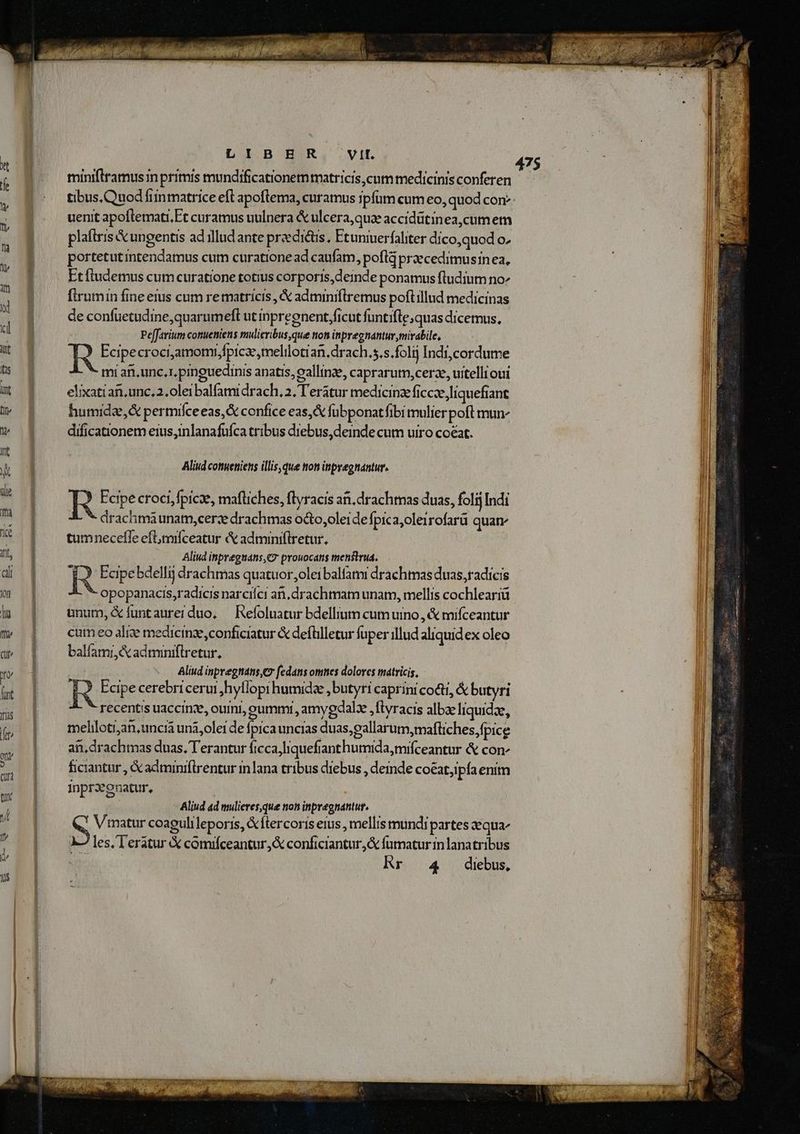 í miniftramus in primis mundificationem matricis,cum medicinis conferen l j| tibus. Quod fiin matrice eft apoftema, curamus rpfüm cum eo, quod con l : uenit apoftemati,Ft curamus uulnera &amp; ulcera,quae accidütinea,cum em I^ plaíiris X ungentis ad illud ante predictis, Etuniuerfaliter dico,quod o. | ls portetutintendamus cum curationead caufam, poflg praecedimusinea, l 8 Et fludemus cum curatione totius corporis, deinde ponamus fludium no^ l firumin fine eius cum rematricis , &amp; adminiflremus poftillud medicinas l x de confüetudine,quarumefl ut inpregnent,ficut funtifle quas dicemus, Il d Pe[farium conueniens mulieribus,que non inpregnantur mirabile, I ut jg R Ecipe croci,amomi;fpicaemeliloti an.drach.s,s.folij Indi,cordume I. Is | mi ar, unc, 1, pinguedinis anatis, callinae, caprarutm,cerze, uitelli oui IE m Jj elixatian,unc, 2,0lei balfami drach, 2, T'eratur medicine ficcze,liquefiant l t [f humidz,&amp; permifceeas,&amp; confice eas, fübponatfibi mulier poft mun- l  dificationem eius,inlanafufca tribus diebus,deinde cum uiro coeat. I ; int | J &amp; ] Aliud couetiens illis, que non inpregnantur. | i ue | R Feipe croci, fpice, maftiches, flyracis an. drachtnas duas, folij Indi Il P E drachma unatm,cerze drachmas odto,oleidefpica;oleirofarü quam | ME * 1 — tumneceffeeflmifceatur &amp;adminiftretur. WB 1M Aliud inpreguáns,C prowocatis menstrua. Ia di | R Ecipe bdellij drachmas quatuor;olei balfatmi drachtmas duas,tadicis I m | opopanacis,radicis narcilci ai. drachmam unam, mellis cochleariü I i; | — unum,&amp;íuntaurerduo, — Refoluatur bdellium cumuino,, &amp; mifceantur II m 1 cum eo aliae medicinze conficiatur &amp; defülletur fuper illud aliquidex oleo | l dv | ^ balfami&amp;adminfftretur, IM v : .. Aliud inpregnans,Cr fedans onmes dolores matricis, nw li iul R Ecipe cerebri cerui hytlopi humide ,butyri caprini cocti, &amp; butyri li us | recentis uaccinze, ouini, eummi, amygcalze , ftyracis albze liquidae, .]H (o, | mehlotjan,uncià uni;oleide fpica uncias duas;gallarum,mafüches,fpice J ji an,drachmas duas. T'erantur ficcajliquefi anthumida,mifceantur &amp; con: Il s ficiantur , &amp;adminiílrentur in lana tribus diebus , demde coéat,ipfa enim | | nprxoenatur TE Mio - Aliud ad mulieres, que non inpregnantur, á Q7 Vimatur coagulileporis, &amp;ftercoris eius , mellis mundi partes aequa  [| 2A2les.Teratur&amp; comifceantur,&amp; conficiantur &amp; fümatur in lanatribus EN ue Rr 4 diebus,