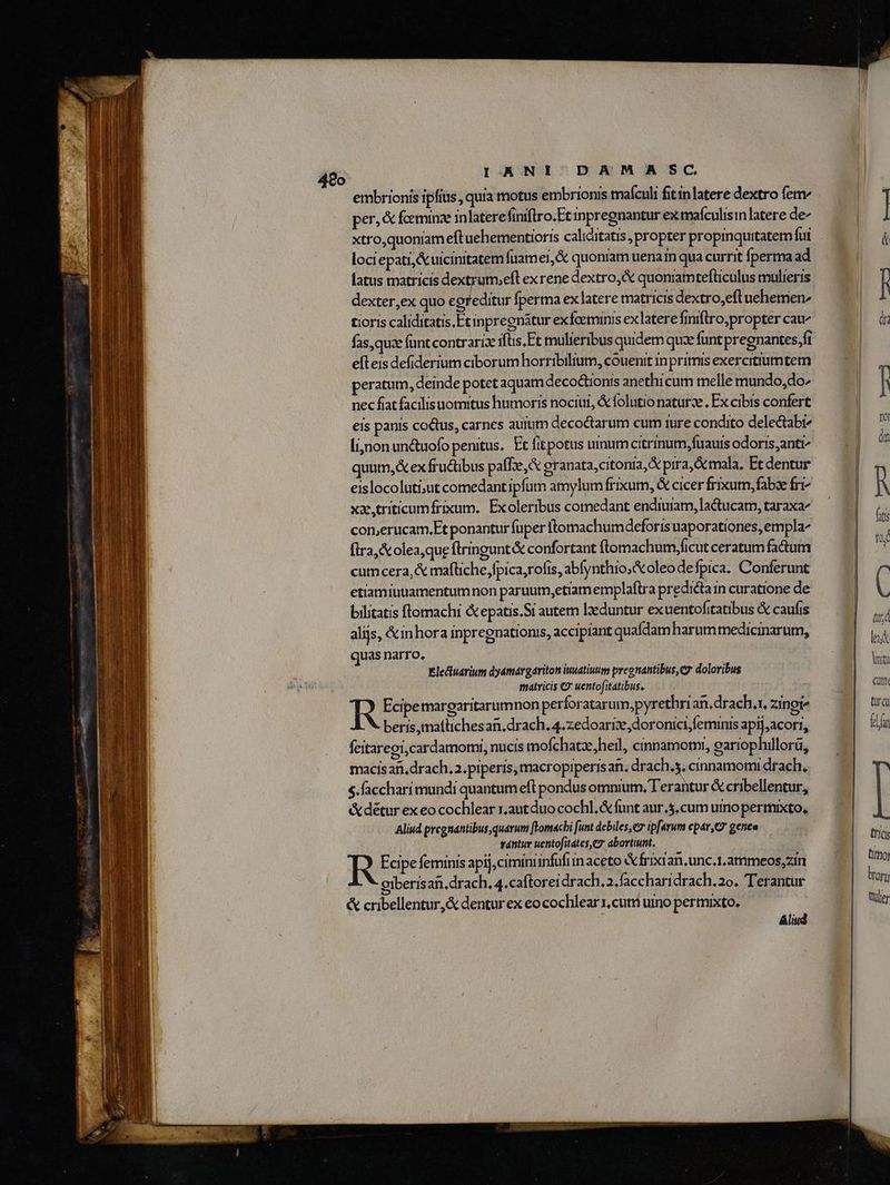 4280 embrionis ipfius , quia motus embrionis maículi fitinlatere dextro fetrv per, &amp; fceminze inlatere finiftro.Et inpregnantur ex mafculisin latere de^ xtro,quoniam eft uehementioris caliditatis, propter propinquitatem fui lociepati,&amp;uicinitatem fuame1,&amp; quoniam uenai qua currit Íperma ad latus matricis dextrutm;eft exrene dextro, &amp; quonramtefliculus mulieris dexter,ex quo coreditur fperma ex latere matricis dextro,eftuehemen^ tioris caliditatis.Etinpregnatur ex foeminis exlatere finiftro;propter cau fas, que funt contrarise ifüs. Et mulieribus quidem qux funt pregnantes.fi efleis defiderium ciborum horribilium, couenit inprimis exercitiumtem peratum, deinde potet aquam deco&amp;tionis anethicum melle mundo, do nec fiat facilisuomitus humoris nociut, &amp; folutio naturze , Ex cibis confert eis panis co&amp;tus, carnes auium decoctarum cum ture condito delectabr^ [ijnon unctuofo penitus. Et fitpotus unurmcitrinum,fuauis odoris antt^ quum, &amp; ex fructibus paffe,&amp; eranata,citonia,&amp; prra, Ac mala, Et dentur eislocoluti;ut comedantipfum amylum frixum, &amp; cicer frixum,fabee fri xa,triticumfrixum.. Exoleribus comedant endiuiam, la&amp;tucam, taraxae con,erucam,Et ponantur fuper llomachumdeforis uaporationes, empla^ fira, &amp;olea,que ftringunt&amp; confortant ftomachum,ficut ceratum factum cumcera,&amp; mafliche,fpica,rofis, abfynthio;&amp;oleodefpica. Conferunt etiamiugamentumnon paruum,etram emplaftra predictam curatione de bilitatis flomachi &amp; epatis.Si autem leduntur ex uentofitatibus &amp; caufis alijs, &amp;in hora inpregnationis, accipiant quafdam harum medicinarum, quas narro, Ele&amp;uarium dyatmargariton iuuatiuum preonantibus, c7 doloribus matricis € uentofitatibus. R Ecipetmargaritarumnon perforatarum,pyrethri an.drach.r, zinoi beris,mattichesan. drach. 4.zedoarix,doronici feminis apij;acori, feitareoi,cardamom, nucis mofchatze;heil, cinnamoti, eariophillorü, macisan, drach. 2.piperis, macroprperis an. drach.s. cinnamomi drach, S. faccharí mundi quantum efl pondus omnium, T'erantur &amp; cribellentur, &amp;détur ex eo cochlear r.autduo cochl. &amp; funt aur.5. cum umo permixto, Aliud pregnantibus quarum [Fomachi funt debiles,e7 ip[arum epar C gena tántuy uentofitates ey abortiunt. Ecipe feminis apij,ciminrinfuft in aceto &amp; frixian, unc.1.ammeos,zin D giberisaii. drach, 4.caftoreidrach, 2.faccharidrach, 2o. Terantur &amp; cribellentur,&amp; dentur ex eo cochlear x, cum uino permixto. j Aliud tud le lita Citi tr ci) fln