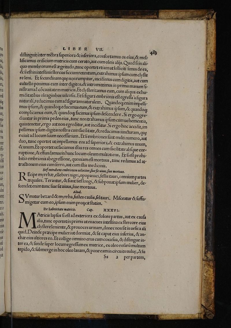 tamus os erus, &amp; mob lificamus orificium matricis cum cerato;aut cum oleis alijs. Quod finali quo membrorumeft eoritudo,tunc oportetetramutfolliciti fimus de ea, &amp;freftinintefünis flercus (iccumretentutn,extrahimus ipfütn cum clyfte relem. Etíecundinam que nonrutprtur, incíditnus cum digitis,aut cum cultello ponimus eam inter dígitos; &amp; intromittimus in primis manum fi^ niflramad cócaurtatem matricis, Ft clyflerizatnus eam, cum aliqua exhu- miditatibus oleaginibus urfcofis, Ftfi fipura embrionis eft egrefla'a fioura naturali,reducimus éeamad figuram naturalem, Quandog; enim impelli tnus ipfum, &amp; quandog educimuseutm,&amp; extrahimus ipfum,&amp; quandog complicamus eum,&amp; quandog facimus ipfumdefcendere , S; ergo egre^ diuntur in primis pedes eius ,tunc non trahamus ipfum cumuehementia, quia tenetur,ereo autnon eoreditur.aut inciditur.Si ergo hoc accidit,im pellimus ipfum dietis noftris cum facilitate &amp; reducimus Iundturam,que exiuit ad locum fuum neceffarium., Et frembriones fünt mult: nütmero,aut duo, tunc oportet utimpellamus eos ad füperiora,&amp; extrahimus unum, &amp;unum,Etoportetut faciamus iflas res omnes cum facilitate abfque cor^ ruptione,&amp;effundamusin hunclocum oleum multotiens, Etfi eft prohi bitio embrionisabegreffione, quoniam efl mortuus tunc redimus ad at^ tractionem eius cumferro,aut cum iílis medicinis. Sief extrabens embrionem uelociter fiue fit uiuus fite mortuus, ! 4 Ecipe myrrhie;ellebori nigriopopanaci fellis tauri,omniutm partes «equales, T'erantur, &amp; fiant fief lonei, &amp; fübponat: plum mulier, de- Ícendet enim tunc fiue fit tuus, fiue mortuus, Aliud. NN Vimatur bezard &amp; myrrha fuites caulis. feltauri, Mifceatur &amp; fuffi- migetur cum eo,ipfum enim progcit ftatim, ' De Lubricitate matricis. Cap. XXXVI. Atricis lapfus fi eftad exteriora exdolore partus ,autex caufa alia,tunc oportetin primis uteuacues inteílina ex flercore eius clyftereleniente,&amp; prouoces urinam, donec nonfit in uefíca ali quid. Deinde proecipe mulieriut dormiat, &amp; fit caput erus inferius, &amp; an» cha eiusaltiores eo, Et collige omntno crus cum coxa fua, &amp; difüinoue in ter ea, &amp; funde fuper locum egreffumex matrice, ex oleo rofarü multum tepido, X fubmeree in hoc oleolanam,&amp; poneeamin circuituuulue Xfu 5S 2 perpartem, FE. THOSE P RAE e