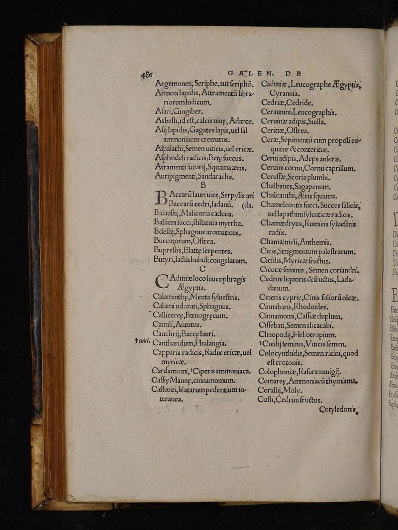 Argetmones, Seriphe;autferipho, Armenilaptdis, Attramentü libra riorumIndicum, Alari,Cingiber, Asbeftrjd eft,calcis ure, Adarce, An lapidis, Gagates lapis,uel fal ammoniacus crematus, Afpalathi,Semen uiticis,uel erícze, Adphodeli radicis;Bete fuccus. Atramentifutorij,Squamagzeris, . AunipigmentiSandaracha, B Accarü lauri uice,Serpylis ari J Baccarg cedri,ladanü, (da, Dalaufti,Malicoría caduca, Balíamifacci,flillatitia myrrha, Edellii,Sphagnus arotnaticus, Puccinorum,Oftrea, Puprefüs;Blatte ferpentes, Putyrijlacisbu bulicongelatum. C C Admixloco leucophraois Aoyptia. Calaminthe, Menta fylueftris, Calamt odoratt,Sphagnus, * Callicereg;Feenogrecum, Camili, Antutus, Canchrij,Baccglauri, tcnici, Cantharidum,Phalangia; Capparis radicis, Kadix ericze, uel myrica. Cardamomr,!Ciperis ammonraca, Caflie Manne,cinnamomum. Caftorer,blatarumpedentium i. teranea, D E Cadmize ,T eucographe ZEgyptía, Cyrannia, | Cedriz,Cedride, Ceraunint;Leucooraphis, Cerumx adipis,Suilla, Ceritize,Oflrea, | CerzSepimentü cum propoli co quitur & conteritur. Cerui adipis, Adeps anferis, Ceruini cornu,Cornu caprillum. Ceruffe,Scoria plumbi, Ch albanes,Saeapenutm. Chalcanthi, Airis fquama. Chameleontis fucci, Succus falicis; uellapathinrfyluaticae radicis, Chamzdryos,Rumicis fylueftris radix, Chama meli, Anthemis, Ciois,Strigmentum paleflrarum., Cicidis,Myricze fructus, C'icut feminis , Semen coriandrt, Cedriniliquoris & fru&us, Lada^ danutm, Cineris cyprie,Cinis foliorüoleze, Cinnabaris, Khodoides. Ciffebati,Semenalicacabr, Clinopodij,Heliotropium. t Cnidij feminis, Viticis femen. Colocynthidis,Semen ricini,quod eft crotonis. Colophoniz,Rafura nauigi. Comaree,Ammoniacü thymíatnas Corallii,Moly. CoflüjCedrinifru&us, | Cotyledonis, C7 (o €