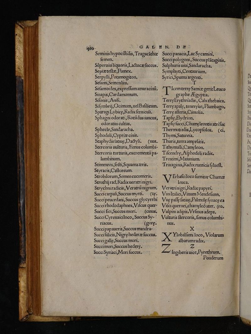 460- Seminis hypociflidis, Tragacáthae femen. Séperuiui liquoris, L a&amp;uczefüccus, Sepizeteftxe, Pamex. Serpylli,Potamoerton, Sefami,Semenlini, Sefamoides,expreffumamaracinü, Sinapis,Cardamomutn, Sifonis , Antfi. Silymbrij, Ocimum, uel Bafilicum, Sparagi Lybice, Radix feniculi, Sphagni odorati, Rotüdus iuncus, odoratus cultus. Sphecle,Sancaracha.. Sphodeli, Cypri cinis. Staphydis fati, Da&amp;yli. (nus. Stércoris uulturis, Firmus columbt Stercoris turturis,excrementüu pa» lumbinum. Stimmeos.fecti,Squamazris. Styracis, Cattareum: Strobilorum,Semmen cucumeris, Struthij rad, Kadixueratrinigri. Strychniradicis, Veratrü nigrum, SuccicarpafiSuccus myrti. — (ze. Succi peucedani, Succus elycyrrhi Succirhododaphnes, Vicus quer- SuccificiSuccus mori. ^ (cinus, Succi Cyrenaiciloco, Succus Sy: : riacus, (gore. Succipapaueris Succus mandra Succi falicis, Niere hederae gis) Succi calle Succus mort, Succi mori Suceus hedereg. SucciSyriaci, Mori fuccus, Succi panacis, Lac Sycamini, Sulphuris uiui Sandaracha, Symphyti, Centaurium, Syrici,Spuma argenti, it Icemterre Gams cerit Leuco graphe Aigyptia. Terre eErythriadis, C alx chebaica, Terre apale, teneret, Plumbaoo, Terre aíleris Ten Tapfi e,Elydrion. Tapfie fucci, Chameleontisatri fuc Thermutiadis,Lycopíolos, — (ci, ThymiSatureia, Thuris,terraampelitis, TithymalliyCameleon, Tilcendre, Atphodeli radix, Troximi, Matunium. TTrixaginis, Radix rutmicis fylueft, AT Erbafciloco fumitur Chamae leuca. Veratri nigri, Radix papyri. Viniltalici, Vinum Mendefiutn, Vug paffe fatiue,Palmule fynace ea Viíci quernei,ch ameleó ater. (ro, Vulpini adipis, Vrfinus adeps. Vulturis flércoris, fimus columbis nus, X. | X Yliobalfami loco, Violarum dédpum radud z yu Inoiberisuice,Pyrethrum. Ponderum