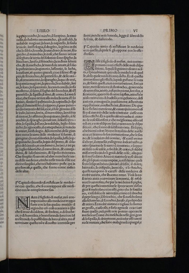 loppeponacho, la mirrha,il ferapino; la rana nella11 chalamo arromaticho, gli anfodili, fa uolubile magiore,laloro,la nepitella; la fauia leuiole, lariftologia,il dragito; la gòma arabi chalolibio,lo mele,lo zuccharo Je more, féo grecho.il marrobio,le cofè,che fanno uenire al feghatoleiirru del folutiuo fono fpigho;la bacchara, lanifo;ilfenochio,la indiuta faluati cha,& domefticha,leimandole amare; il folio la paftricciana;leupatorio, laffentio, la Jacha, lacufcute,et quatro graneli,cioeilfeme Flap pio,de fenocchio;del prerefello,& dello ani-- fo,el cennamomo,lo fparagho,laqua de ceci, laquercia magiore;la piccola, la uolubile, lire os;la toro,lo fquinanto, lacammomillaloft mofterno,il fiero;il fiughò del fenochio,& dl prerefello,la fquilla;il uino,& cerera. Lemedi cine;che fanno venirealla milzala virtu d'1 fo tutino; fonno il paftriccio;la nepitella;lo fpr gho;ilthamariftcho il cippero;il pane porci no;lacorrecciadelfaljcioe11fale gemma fa leindo,lacorojlireos il marrobbio; larobbia ditintori,lo afentio}lo eupatorio;lanifo, il fe nochio,lo fparagho,la cufcute; la fcollopen-- dria;lafquilla;laffaro,la volubile, Jaglio falua ticho,lo agnocafto;il camepitheos;le mando le amare, lariftologia; Alli membri delle giun tuire menala uirtu delle. Medicine folurizie, il giengeuo,la rutafaluatica;la fquilla;laffa;lop- poponacho;la caffia;laqua del porro; & il fu» gho del cauolo,ercordumeni,lacoro,e rré pe pi,laglio faluaticho il camedreos; & camepi- theos, & lafcelamonio, & ilpolio montano; Che fimplici fa uenire ad altre membra le wir: tu delle medicine;cercha nelle tavole d'Ilé me: dicine fimplici,che nor habiamo pofte qui le piufamofe,e quelle, che fonno come radice delle altre. P Capitolo fecoridoidi re&ificare le medici: ne con quello, che fi contrappone alle medi - cine con la complexione fua, Atrail figliolo di mefue,noi con- traponiamo alla medicina troppo forte conì la fua qualita mutàdo il BOVE regiméto c6 cofà contraria a gllo che fi teme di caldeza, & fredeza, o di fecche- za, odihumidita,comenfurando luna con lal tra fecondo la poffibilita da luna al altra,ma@ terminare quelto n6e di noftra intentide pre fente,ma chi uole hauerla, legga il libro difia lyfenis, & dalkrindo, P Capitolo terrio di re&ificare le medicine con quello;ilquale fi gl oppone con lo effe» -&oluo, i î 2 Iffeil figliolo dimefue; noi contrae elio) poniamoarei effedti delle mali difpo SI) finioni, liquali feguitano alcuna uol- ta;e fpecialmeute quando la medicia e di quel le,dellequalenoihabiamo ditte; Et di queftò timorefono gli effeti;liquali guftano' la natu ra;&fono quelti,ctoeconturbatione; fare uò ‘mire,mordicatione di ftomacho; generaride di ventofita,acuita,infiamimatione ferofita; e fcoriatide,aperitice diuene fupflua,atrrattide trafcorrimento dibudella}congellarione;defi catiorie,corruganide, muifcarione,adherentia oppillatione;conftri&ione;&cererai De qua» li ne for farò mentione,& contraponianio a éf fecolainronio delle icofe contrarie» a'effe:con il fuo effe&o.Era quefto altura uolra ci aiuta? nole cofefalutifere,e che megliorano effe col odore;ecorrelfaporefuo;jouero conle difpo firioni; che fonno drfubftannaarta. Erfappi; chebuoni odori leuano lamalitia delle medil cineerlieuano la foa commotione;che le fan no,glavolunta deluomire; \&confertono il chore,il ceruello,rallegrano lodoré trifto,o uero fpiaceuole fatuero Il contrario;e loppoè redelle cofe calde, o freddej& cerera,fi debbe mifurarefecondoli gradi delle cole; allequa! tefimefcolano, Anco ciaiutatioiecofe fecon do gli fapori a corrompere; confiderare quali fonoli fiporilacuto,lamaro;il falfo) il: dolce; luntuofo;lo infipido; lacetofo, ‘e lo ftiticho, queftirompono li'excefli delle medicine di molte uarieta, che lhuomoteme, Vedi laco- fracuta aiuta acarminate la materia, & refol uerela uentofita,che:per la ttnedicina fi piglia, & per quefta intentione le fpecie acute alefan gine fi mefcolano comeffe,pero che le forrilia no; erifoluino la uentofita;come eil daucho ilpepelongo;ilfenochio, che fi mefcholano alla fchambea;il:fenochio,lanifo,il polipodio &cetera. Er molte aiutano a tagliare lo humo re grollo, e uifcofo; € farlo ageuole a cacciare fuori quello ;nelquale non potena operarela medicina.Come chi mefchola nelle geri gran di la fquilla;fa dritamente,accioche effe unoti rio le materie;che fono malageuoli a purgaf,e