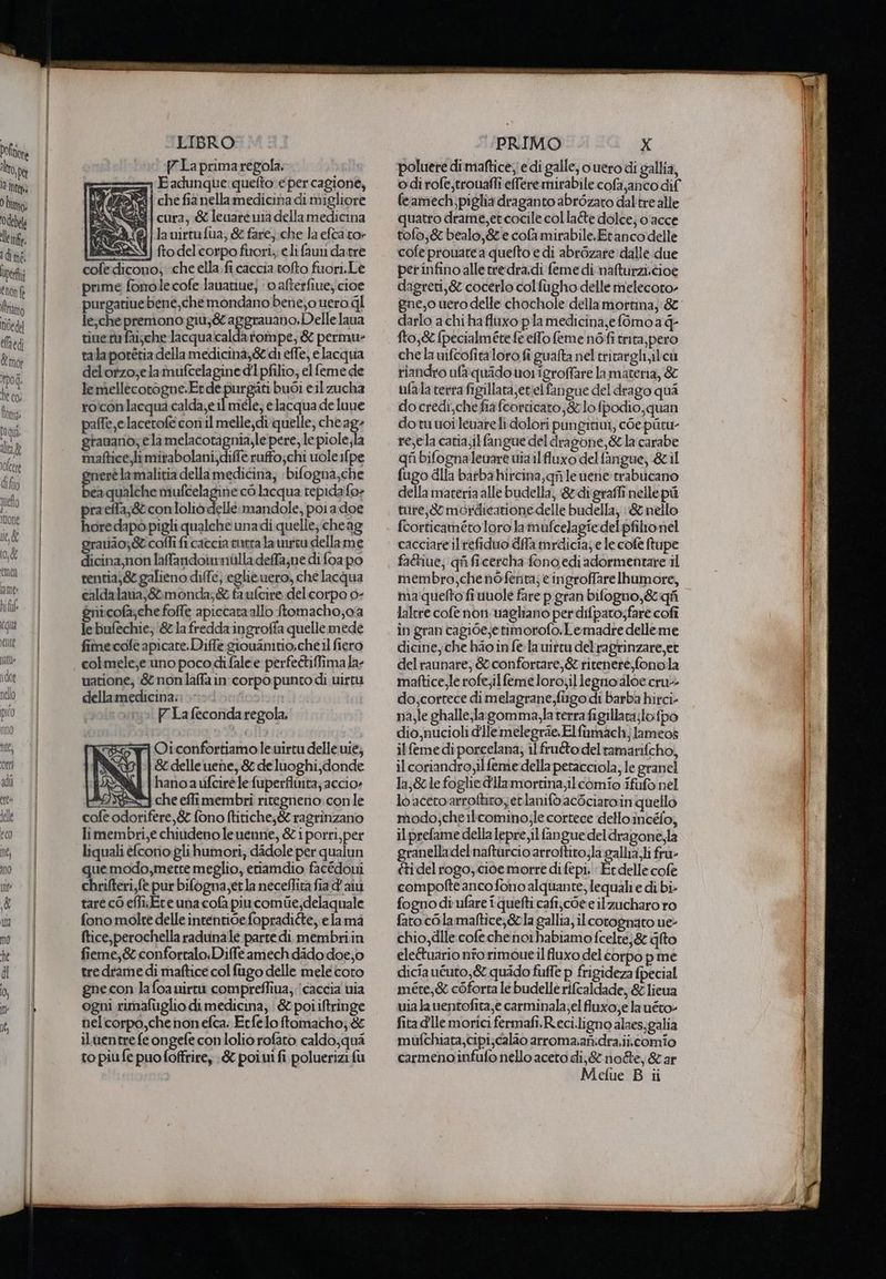 Pofitone to De Da Inter i) bunio Odebela eine i dimé. iper € non fe ato oe] eaedi moi dpo q he co; foma: fiqui dit g olcere dif. ULIUO 2 [etto patti Ì dot nello LIBRO La prima regola. Eadunque:quelto e percagione, di che fianellamedicina di migliore cura, &amp; leuare via della medicina la virtufua; &amp; fare,;che la efca to» fto del corpo firori; eli fauni datre cofe:dicono; che ella. fi caccia tofto fuori. Le prime fomole cofe lauatiue; 0 afterfine;icioe purgatiuebené,che mondano bene,o uero ql le;che premono giù,gtaggrauano.Delle lana tine ta fai;che lacqua:calda rompe, &amp; permu- talaporetia della medicina,&amp; di effe, e lacqua delotzo;elamufcelagine d1 pfilio, el feme de lemellecotogne.Erde purgati buòi eil zucha ro'conlacqua calda;e il mele, elacqua de lune paffe,elacetofe conil melle;di quelle, che a8: granano; ela np pere, le piole;la maftice,li mitabolani, diffe ruffo;chi vole ifpe nerèlamalitia della medicina, bilogna,che Da qualche mufcela car cOlacqua tepidafo» praeffa;&amp;conloliò dellé: mandole, poi a doe hore dapò pigli qualche unadi quelle; cheag gratia; 8 coffî fi caccia sutra la unteu dellame dicina,non laffandoimnilladefa;ne di foa po tentia; 8 galieno diffe; egliè ero, che lacqua caldalavia,&amp;monda;&amp; fa ufcire del corpo o- gnicofa;che foffe apiccataallo ftomacho;c'a le bufechie;'&amp; la fredda ingroffa quelle mede fimecofe apicare.Diffe giouanitio,cheil fiero colmele,e uno poco di fale e perfeétiffima fa- uatione, &amp; nonlaffa in: corpo punto di uirtu dellamedicina: PLafecondaregola, Oiconfortiamoleuirtu delle uié; &amp; delle uene, &amp; de luoghi,donde hanoaufciré le-fuperflta; accio» RENT] che effi membri ritegneno: con le cofe odorifere,&amp; fono ftitiche;&amp; ragrinzano limembri,e chiudeno leuenne, &amp;iporri,per liquali efcono:gli humori, didole per qualun que modo,metre meglio, eriamdio facédoui chrifteri,fe pur bifogna,et la neceffita fia d'aiu tare cò efli;Ere una cofa piucomie;delaquale fono molte delle intentide fopradiéte, e lamà ftice,perochella radunalle parte dì membriin fieme;&amp;confortalo.Diffe amechdido doe,o tredrame di maftice col fugo delle mele coro gne con la foauirtù compreffiua; caccia via ogni rimafuglio di medicina, | &amp; poi iftringe nelcorpo,che nonefca. Etfelo ftomacho; &amp; iLuentre fe ongefeconlolio rofato caldo;qui to piu fe puo foffrire, :&amp; poi ui fi poluerizi fu PRIMO X poluere di maftice;/ e di galle, ouero di gallia, odi rofe,trouafli elfere mirabile cofa,anco dif feamech;piglia draganto abròzato dal tre alle quatro drame,et cocile col late dolce; o'acce tofo;&amp; bealo,&amp; e cofa mirabile. Etanco delle cofe prouatea quelto e di abrozate dalle due perinfinoalletredra.di feme di nafturzi.cioe dagreri,&amp; cocerlo colfugho delle tnelecoro- ene, o uero delle chochole della mottina, 8 darlo achi hafluxo pla medicina,ef6mo a q- fto,&amp; fpecialmetefe eflo feme néfi trita, pero chela wifcofita loro fi guafta nel tritargli,ilcu riandro ufa:quidouorigroffare lamateria, &amp; ufalaterra figillata,etieifangue del drago qua docredi,che fia fcorticaro,&amp;lofpodio,quan dotuuoi levareli dolori pungitiui, coe piu resela catia;ilfangue del dragone, &amp; la carabe qfibifognalenare uiailfluxo del fangue, &amp;il fugo dIla batbahircina,gfilenene trabucano della materia alle budella, ‘&amp;:di graffi nelle pù ture, Scmordicatione delle budella; : &amp; nello fcorticameto loro la mufcelagie del pfilio:nel cacciare il refiduo dla mrdicia; e le cofe ftupe faétiue; qui ficercha fono edi adormentare il membro,chenofenta; e ingroffare humore, ma:quelto fi uuole fare p.gran bifogno,&amp;qfi laltre cofe noti uvaghiano per difparo;fare cofì in gran cagi6e,e timorofo.Lemadre delleme dicine, che hao in fe lawitta delragrinzare,et del raunare, confortare, &amp; ritenere;fono:la maftice,le rofe,il femeloroiil legno:loe cru do,correce di melagrane,firgo di barba hirci- na,le ghalle;lagomma.laterrafigillata;lo fpo dio,nucioli d'Ile melegrae. Elfumach; lameos ilfemedi porcelana; il frutto deltamarifcho, il coriandro;il feme della peracciola; le granel la;&amp; le foglie dIlamortina;ilcòomio ifufo nel lo acetoarrotliroyetlanifb acSciaroin quello modo;chelbcomino;le cortece dello incélo, il prefame della lepre,ilfangue deldragone,la granella del naftarcio arroftito;lagalla,li fru- (ti del rogo, cioe morre di fepi. Er delle cofe compofte ancofono alquante, lequali e di bi- fogno di ufare i quefti cafi,coe e ilzucharo ro fato c6 lamaftice,&amp;&amp;la gallia, ilcorognato ue chio,dIle cofeche noi habiamo fcelre;&amp; gito ele&amp;tuario nforimoueil fluxo del corpo p me dicia uéuto,&amp; quido fuffe p frigideza fpecial mére,&amp; còforta le budellè rifcaldade, &amp; lieua uia ka uentofita,e carminala;el fluxo;e la uéro fita d'Île morici fermafi.Reci.ligno alaes,galia mufchiata,cipi,calao arroma.afiidra.ii.comio carmeno infufo nello aceto di,&amp; noe, &amp; ar