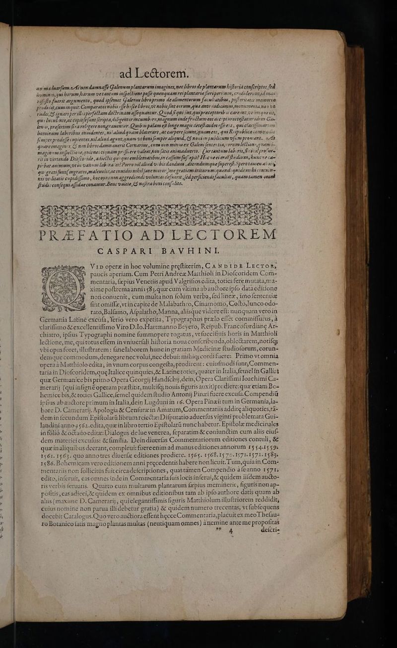 ad Le&orem. amimaduerfum.s Ai nomdamna[e Galenum plantarum imagines, nec libros deplantarum hiftoria cónfcriptos, fed boNgHRA 7$ 2H1 borum,barum vetantum in[petlione po[Je quenquam rei plautaria fieripert uin, credider; nti mia cififlo-fuerit argumenta , quod ip[emet Galemu libroprimo de alimentorum faculiatibus , pof eritatis memoria prodidtteum inquit: Comparatos n obis effe boe libros;vt nobis rnt evrum qua ante cádicimius monuzaeyta non vt rades,C ignari per tliis perfetlam dotlrinam a[fequantaur. Quod figni Ánt,quipraceptorib é careant;ve inique tis, qu: luclente,ac copio fefint (cripta, dulbgenter incumbvemagnum inde fratlum eos accept eroste[Latzr ides Gaz leni, pre[ertim [fea velegerenongraueniar. Quib 4 palam ejt longe magis detefLandos «[Je ess , qui c'avifTunar im boszeinum laberibus ihudentes , ni/aliud quam blaterare ,ac carpere (cintquam eos, qui Reipublica coma osi fivaserprodeffe« upientes.uil alind agunt,guam vt boni fimper aliquid, €$ nous n pnblicum v[um pronant.. o7 quare magnes, €8 non libros damnauerit Cornarius , cttm uon minu ex Galeni fente: tay corum lettioneg wam i- magin vem in[pettto uegtiisnestiauam profi ere valeat fion [atis animaduerto. (Ay tantum lab.ris, fi vicilprofuez rit in vertendo Dio[coride , adiethis queque emblematibusn caffam ff epit? Hoc ue ei era? fl» dim, buucve ca pi bat animumotin vatem labra et? Porro mlaliud v:bis dandum ,dicendumque fupereff.Speró tauzen a5 15$ qm'grati fent( ingratosmaleuolosac inidos nibil [aue soror me gratiam aniturum:quand. quidem: biccnznitta nis utilitatis cupidiffimo , hocoptisnon aggrediendi voluntas defuerit , [éd perfscsends facultas, quam tamen onnb fisidisconfequi affidue conamur Bene valete, C nojira boni con[^lte. RQQSEN KORR HDCRTH CO DENS f t , * RIA d AS 1 A E YOUR je Ve Ca SL PUR e 16 L3 S MG X De A 63, 8 CLAC ER: 3 BREEZE 8 P PEST E.A CVE SCOPE ai Sd Xe 602 AC BC N S4 C9 Qe OD Cp m e UE AU, PRAEFATIO ADLECTOREM CASPARI BAVHINL v d Vi D operz in hoc volumine preftiterim, C AN DIDE L ECTO i, SN 4! paucis aperiam. Cum Petri Andrez Maithioli in Diofcoridem Com- mentaria, fxpius Venctiis apud V algtifios edita, toties fere mutata,ma- » ximepoftremaanni:58;.qux cum vltima ab au&toreipío data cditione ^ nonconuenit, cum multanon folüm verba, fedlinex, imofententix fint omiffe,vtin capite de Malabathro, Cinamomo, Cofto;Junco odo- rato,Bal(amo, Afpalatho; Manna, aliisque videre eft: nunquam veroin Germania Latiné excufa , ferio véro expetita, Typographus przlo effet cominiffurus, à clariffimo & excellentiffimo Viro D.Io.Hartmanno Beyero, Reipub. Francofurdiane Ar- chiatro, ipfius Typographi nomine fummopere rogatus, vt füccifiuis horis in Matthioli le&ione, me, quitotus eflem in vniucrfàli hiltoria noua confcribenda,oble&arem,notifq; vbiopusforet, illuftrarem: fahelaborem hüncingratian Medicinz ftudioforum,eorun- demque commodum, denegarenec voluinec debui: mibig; cordifuere: Primo vtomnia opcraà Matrhiolo edita, in vnum corpus congefta, prodirent: cuiufmodi funt Commen- taria in Diofcoridem,que Italice quinquies, & Latine toties quater in Italia femelin Gallici quz Germanice bis primo Opera Georgi; Handfchij,dein, Opera Clatiflfimi Ioachimi Ca- merarij (quiinfign&operam pra'ftitit, multifq; nouis figuris auxit)prcdiere:qua etiam Bos hemice bis, & toties Gallice,femel quidem ftudio Antonij Pinzi fuere excufa. Compendiü ipfius abau&oreprimuminItalia,dein Lugduni in 16. Opera Pinxi: tum in Germania,la- bore D. Camerarij. Apologia & Cenfurz in Amatum, Commentariis àdditg aliquotics,ra- dem in fecundum Epiftolarü librum reiecta: Difputatio aduerfus viginti problemata Gui- landinianno $62.editaquz in libro tertio Epiftolarü nunchabetur. Epiftola: medicinales infólió &octado edit: Dialogus delue venerea, feparatim & coniunc&im cum aliis eiuf dem materieiexcufus: & fimilia. Dein diuerfas Commentariorum editiones contuli, & quz inaliquibus deerant, compleui: fuereenim ad manus editionesannorum 15 54:1559: 1561. 1563. quo annotres diueríx editiones prodiere. 1565. 1568.15 7c. 1571.1572:1583; 1586. Bohemicam vero editionem anni precedentis habere nonlicuit. T um,quiain Com: mentariis non follicitüs fuitcircadefcriptiones, quastdmen Compendio àfeanno 1571; edito, inferuit, casomnesindein Commentaria ffuislocis inferui,& quidem iifdem audto- ris verbis feruatis. Quarto cum multarum plantarum Íxpius memirierit, figuris nonap- pofitis; easadieci;& quidem ex omnibus editionibus tam ab ipfo authore datis quam ab aliis (maxime D. Camerarij , quielegantiffimis figuris Matthiolum illattriorem reddidit; Cuius nomine non parua illi debetur gratia) & quidem numero trecentas, vt fübfequens docebit Catalogus.Quo veroauctiora effent hecce Commentaria;placuit ex meo Lhefau- ro Botanico fatis tnagno plantas multas (neutiquam omnes) ànemine ante me propofitas ASA deícrie