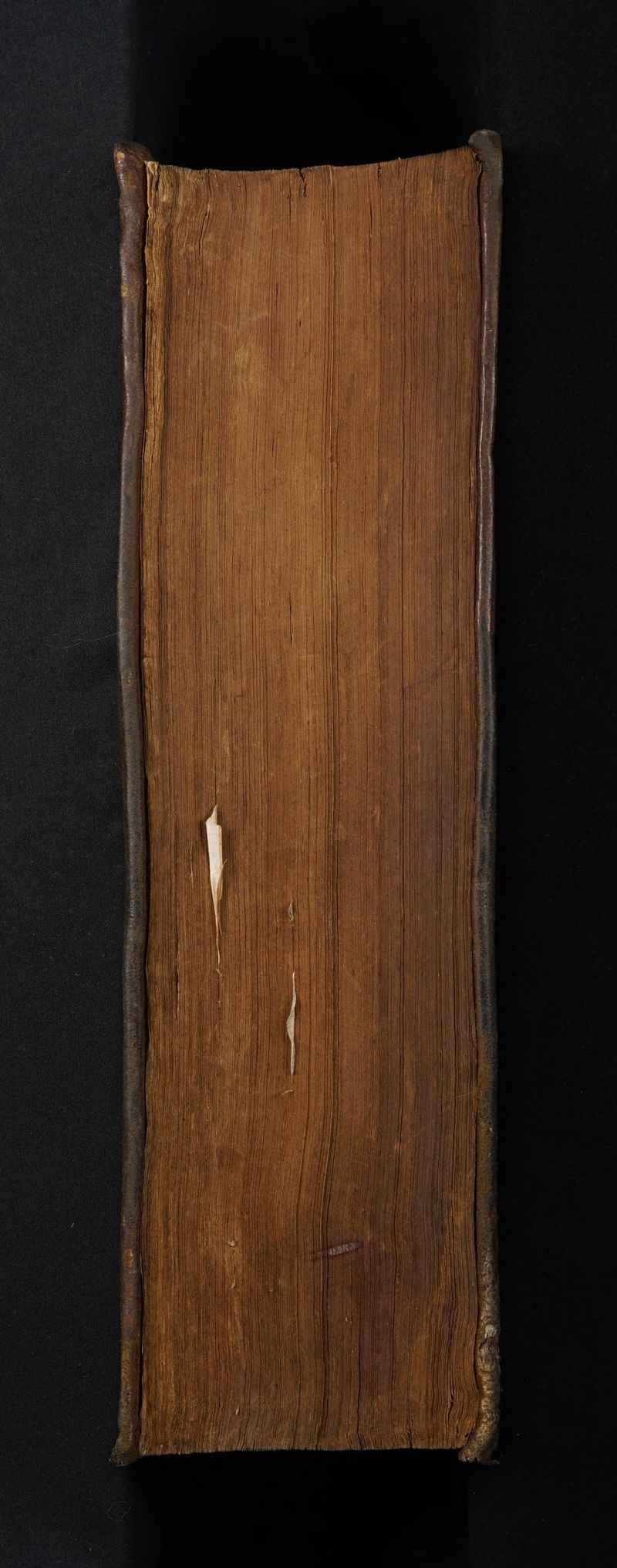 No text description is available for this image