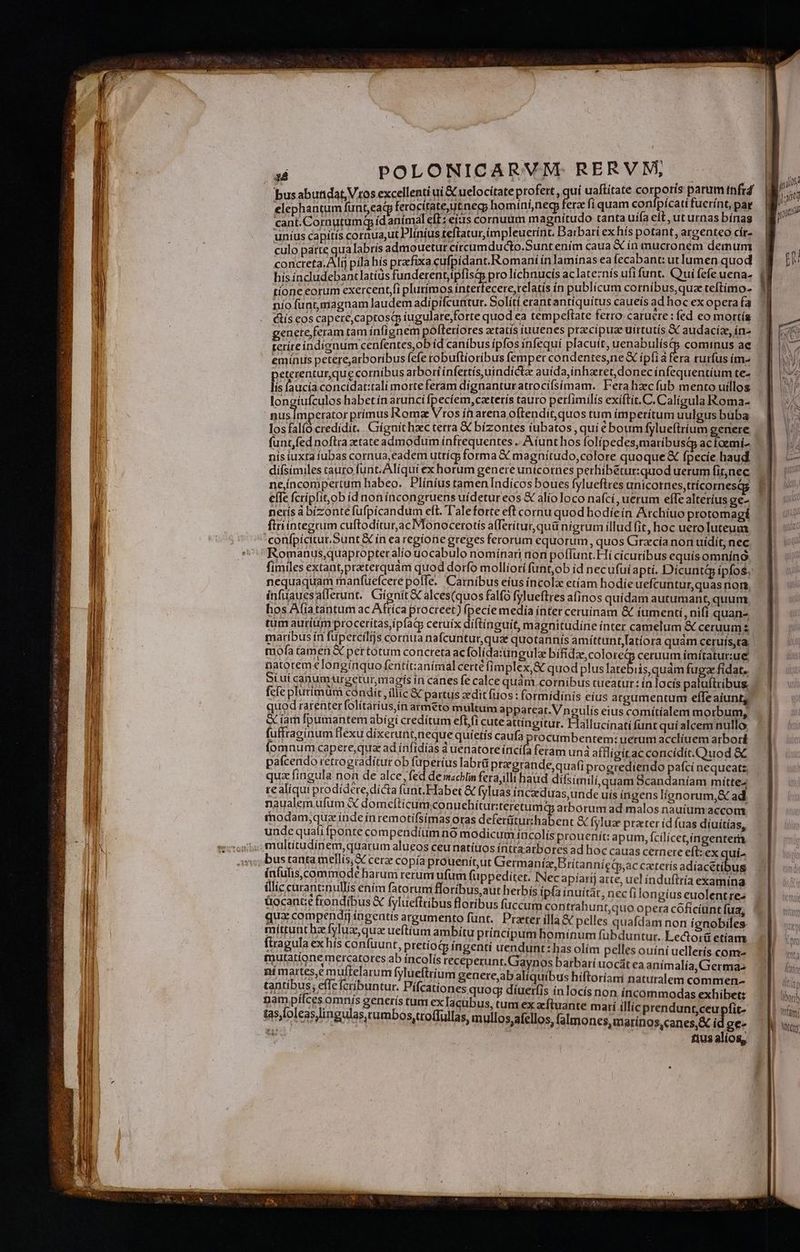 busabutidat, Vtos excellenti ui &amp; uelocítate profert, quí uaa Rorpone porum Ind elephantum funt,eatp ferocitate,ut neg) homíni,nego id E if ai ut urnas m cant.Cornutumq ídanímal eft: eitis cornuum magnitudo pue a. 3 AUR 3 unius capitis cornuaut Plíníus teftatur, impleuerínt. Baibari exds potant, agen €o cír- culo patte qualabris adrmouetut circumducto.Sunt enim caua : ih madonsm emu concreta. Ar pila hís prafixa cufpídant.Romani inlamínas ea E ans ut MM quo his íncludebantlatíus funderent,tpfisdp pro líchnucís aclateznís uii 9a Qui fe BMEDAT tíone eorum exercent,fi plurímos interfecere relatis ín publícum corní Menus te any nío funt,uiagnam laudem adipifcuntur. Solití sutirann qoin caueís ad s ex opera fa &amp;ís cos capere,captosQp iugulare, forte quod ea tem peftate ferro Sginpe ied co mortís genete feram tam ínfíignem pofteriores «tatis iuuenes praccipuze uirtutís c audacíz, ín- teríre indignum cenfentes,ob íd caníbus ipfos infequi placuít, uenabulís cominus ac emintis petere,arboribus fefe tobuftioribus femper condentes,ne &amp; ipfi à fera rurfus ím- peterentur,que cornibus arbori infertís,uindictae auida,inhzret,donec infequentíum te- lis faucía concidat:tali morte feram dignantur atrocifsímam. Fera haec fub mento uíllos longíufculos habet ín arunci fpecíem, caterís tauro perfimilís exíftit.C. Calígula Roma- ; : (0 ; , los fal(o credidit... Ciígnithaec terra &amp; bízontes íubatos , qui e boum fylueftríum genere funt fednoftra tate admodum ínfrequentes .. Aíunt hos folipedes,maríbustp actoemí- nís iuxta íubas cornua,eadem utríc; forma &amp; magnítudo,colore quoque &amp; fpecie haud. difsimiles tauro funt. Alíqui ex horum genere unicotnes perhibétur:quod uerum fitnec neíncompertum habeo. Pliníus tamen Indícos boues fylueftres unicornes,trícornes effe fctiplit;,ob id nonincongruens uidetur eos &amp; alíoloco nafci, uerum effe alteríus ge- neris àbizonte fufpicandum eft. T'aleforte eft cornu quod hodíeín Archiuo protomagí firiintegrum cuftodítur,ac Monocerotis afferitur,quü nigrum illud (it, hoc uero luteuas Romanus,quapropteralío uocabulo nomínari non poffunt.Fi cícuríbus equís omnino nequaquam manfuefcere poffe. Carníbus eíus íncola etíam hodíe uefcuntur,quas nor, ínfuauesaflerunt. Clgnit &amp; alces(quos falfo fylueftres afinos quidam autumant, quum hos Afíatantum ac Afríca procreet) fpecie media inter ceruínam &amp; íumenti nili quan- mofa tamen X pettotum concreta acfolida:üngulz bífidze, colored; ceruum ímítatur:ue patoremelongínquo fentít:anímal certé fimplex,&amp; quod plus late usquam fuga fidat. Y id, Jay 3 ; jx ^ ju y| : Si ui canumurgetur, u1agís in canes fe calce quàm cornibus tueatur: in locís paluílribus. quod rarenterfolítarius,in armeto multum appareat. V ngulís eius comítialem morbum, &amp;íam fpumantem abigi credítum eft fi cute attíngitur. Hallucinatifünt quí alcem nullo fufftaginum flexu dixerunt,neque quíetís caufa procumbentem: uerum acclíüem atbori fomnum capete,qua ad infidias à uenatore íncí(a feram una affligitac concídít.Cuod &amp; pafcendo retrogradítur ob ONE labrüi pregrande,quafi progrediendo pafcí nequeatz quz fingula non de alce, fed de machlin fera,illi haud difsimili, quam 8candaníam míttez te alíqui prodídere,dícta funt.Elabet &amp; (yluas inczeduas,unde uís íngens líignorum,&amp; ad naualem ufum X domefíticum conuehituriteretumq arborum ad malos nauium accom. thodam;quz índe ín remotifsímas oras deferütur:habent &amp; fyluz prater íd fuas díuítías, unde qualifponte compendíüm no modicum íncolís prouenít: apum, fcilícetimmgentern. multítudinem,quarum alueos ceu natíuos íntraatbores ad hoc cauas cernere eft: ex quí- bus tanta mellis, S cere copía prouenit,ut Germaníz,Brítannígdyac caterís adiacetíbus ínfulis;commode harum rerum ufum füppeditet. INec apiaríj acte, ucl induftria examina illic curancnullís enim fatorum fforíbus,aut herbis ipfa inuítàt, nec fi longíus euolent res üocanté frondibus € fylueftribus floribus fuccum contrahunt,quo opera cóficiünt fua, qux compendi ingentis argumento fünt.. Praeter illa pelles quafdam non ignobiles míttunt hz fyIuze qua ueftium ambitu principum homínum fübduntur. Lectorü etíam firagula exhís confuunt, pretiotp íngenti uendunt:has olím pelles ouíní uellerís com mutatione mercatores ab íncolís receperunt. Gaynos barbarí uocát ca anímalía, Germa» ní martes,e muftelarum fylueftrium genere,ab aliquibus hiftoriam naturalem commen tantibus; effe fcribuntur. Pífcationes quog diuerfis ínlocís non íncommodas exhibet: nampífcesomnis generís tum ex lacübus, tum ex zfluante mati íllíc prendunt,ceu pfic- tas foleas lingulas,tumbos,troffullas, mullos,afellos, falmones,marinos,canes,&amp; i ge- ER | fius alios, ( Tp I bor E trm; M utr