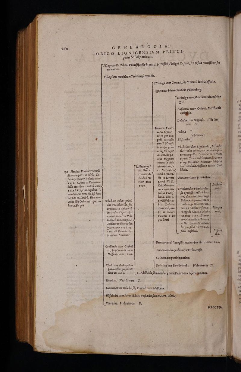 G'E.N.E AB O.CG JI AE ORIGO LIGNICENSIVM PRINCI- pum &amp; Brigenfium. i160 ( Filia promiffa Othoni Vwittelfpachio ficario c» percu/ori Philippi Cefaris , fed pofiea mona[ficam fe cuta uitam. Filie plures moniales in Trebnicenfi comobio. Eedwipa uxor Conradi, filij Semouiti ducis Maffouia. Agnes uxor V/lrici comitis in T'uirtenberg. Hedwiga uxor Marchionis Brandebue gi. R Euphemia uxor. Oihonis Marchionis Carigpbie. Boleslaws dux Brigenfis.. ide lites rdn 4. Blenricus V'entri cofus Legnici Helena i us co per uim Moniales. poft pairuelis Elifabeiba J morte Vratif lauienfis. prin: ceps, fed capi? à Conrado pa- truo magnam Vladislaus dux. Lignicenfis , fed cedit fratri cdm promiffam pecuniam fola uere non pe[Jet. Deinde armis iterum repetit. Tandem delirus uendit Ioans ; | occupáte ditio | — niregi Bobemie. Eiusuxor fuit filia fT. Hedwigafi | | nisiacturamfa |. Boleslai ducis Ma[foui uctula. Sine d Henricut Pius bares omni lia Henrici | eit. MoriturexQ — liberis. ditionwm patris in Silefia, Lu- comitis An — morbo contras | atia co! maiore Polonia anno baldui.Mo Klo in carcere | Anna moritur in prima «etate. potrei VIII. ; Cal. Martij an is 12136. Captus à Tattaris s ritur dnno no 1296. Ses | Henricus dux Vratislauien | | nid, bello trucidatur. mifert anno 127$. 1241 1X. Aprilis.Sepultus Vs ratislauie in cenobio à fe funs | pultus Vratif- | — fis oppreffus bello fzaz dato ad D. Jacob. Eius uxor lauie. Eiusus | — tre, ducatum donat regi Anna filia Othocari regis Bos | Boleslaus Caluus primi xorElifabetha | — Polonie: à quo receptum hemia.Ex qua flia Boleslai | . tradit regi Bohemie ans commutata ditione cá ducis Kalifsien | | mo 1327. unico referuas | Margda fratre dux Lignicenfis, amittit maiorem Polo niam ab áuo-occupatd. fis, Àn. maiori Polonia : ex qua liberi to oppido Clozka. Mori; tur ámo 1337. Elusus xor Annd uidua Hermán ni Marchionis Branden burgici, filia Alberti Cata feris 4u. iriaci. dux Vratislauizfis , fed | Moritur ex ferao c» lan guore dnno 1279.u0: catus dd Polonie dos minatum. Eius uxor | Conflantia uxor. Cazimi | ri , filij Conradi ducis | Elifabe | E Bernbardus dictus agilis moritur fie liberis anno 1 280, ————————ÀÁ o a Anna monialis c» abbatiffa Trebnicenfit. Maffouie anno 1 2.3 6. Catharina in pueritia moritur, Vladislaus Archiepifcos pus Salifburgenfis, Mo ritur dn.1270, Boleslaus dux Svoeidnicenfis. — Videliteram B. L.ILAddheida filia Sambori) ducit Pomerania deferitggaritum. Henricus. Videliteram | C. Gertruda uxor Boleslai filij Conradi ducis Maffouie. Elifabetba uxor Premisl ducis Pofnanienfi in maiore Polonia; L Conradus, V'ideliteram — D, BRIGEN: