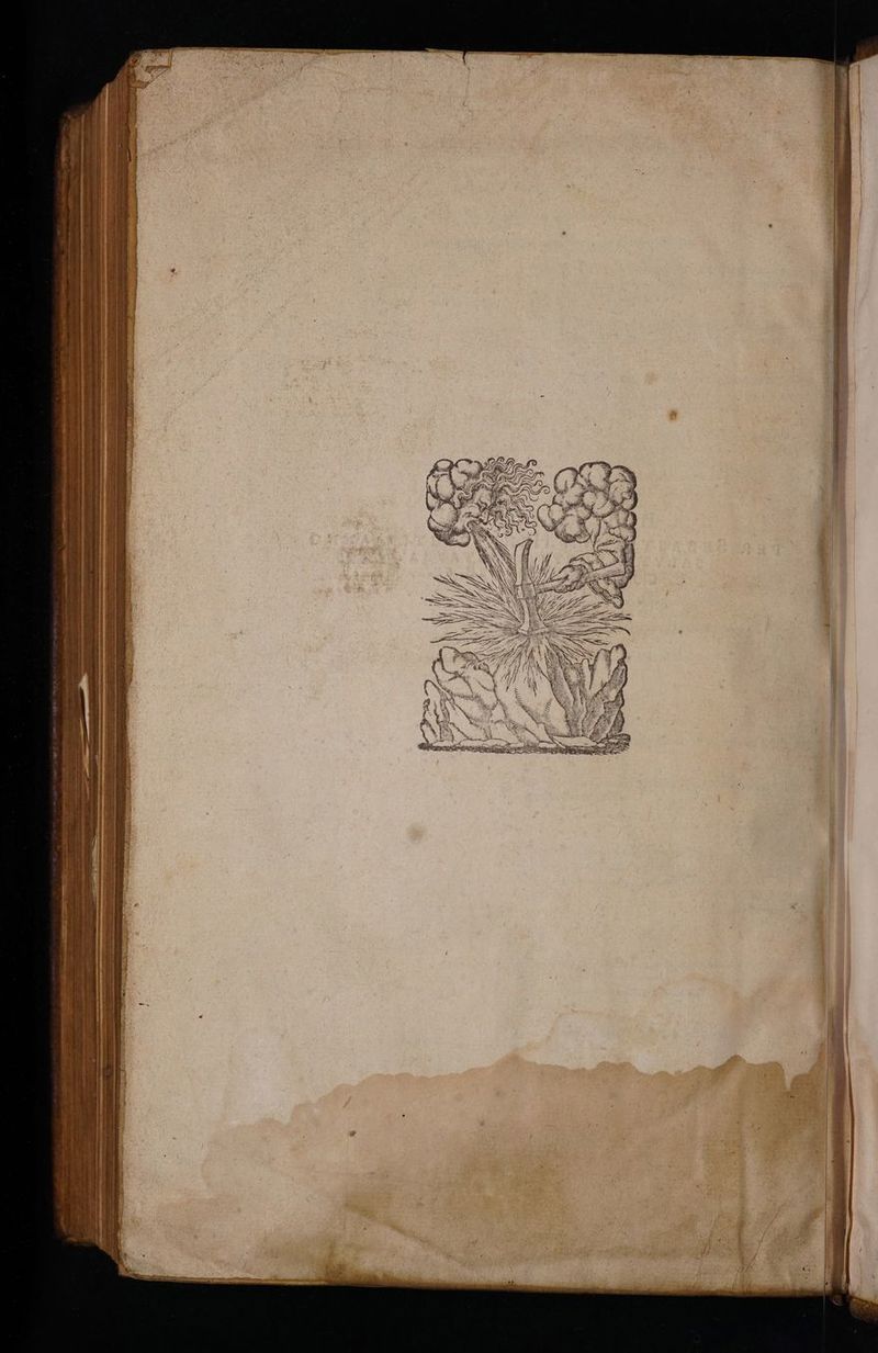 ex be don ae pan ASSUM ONE WR Ro