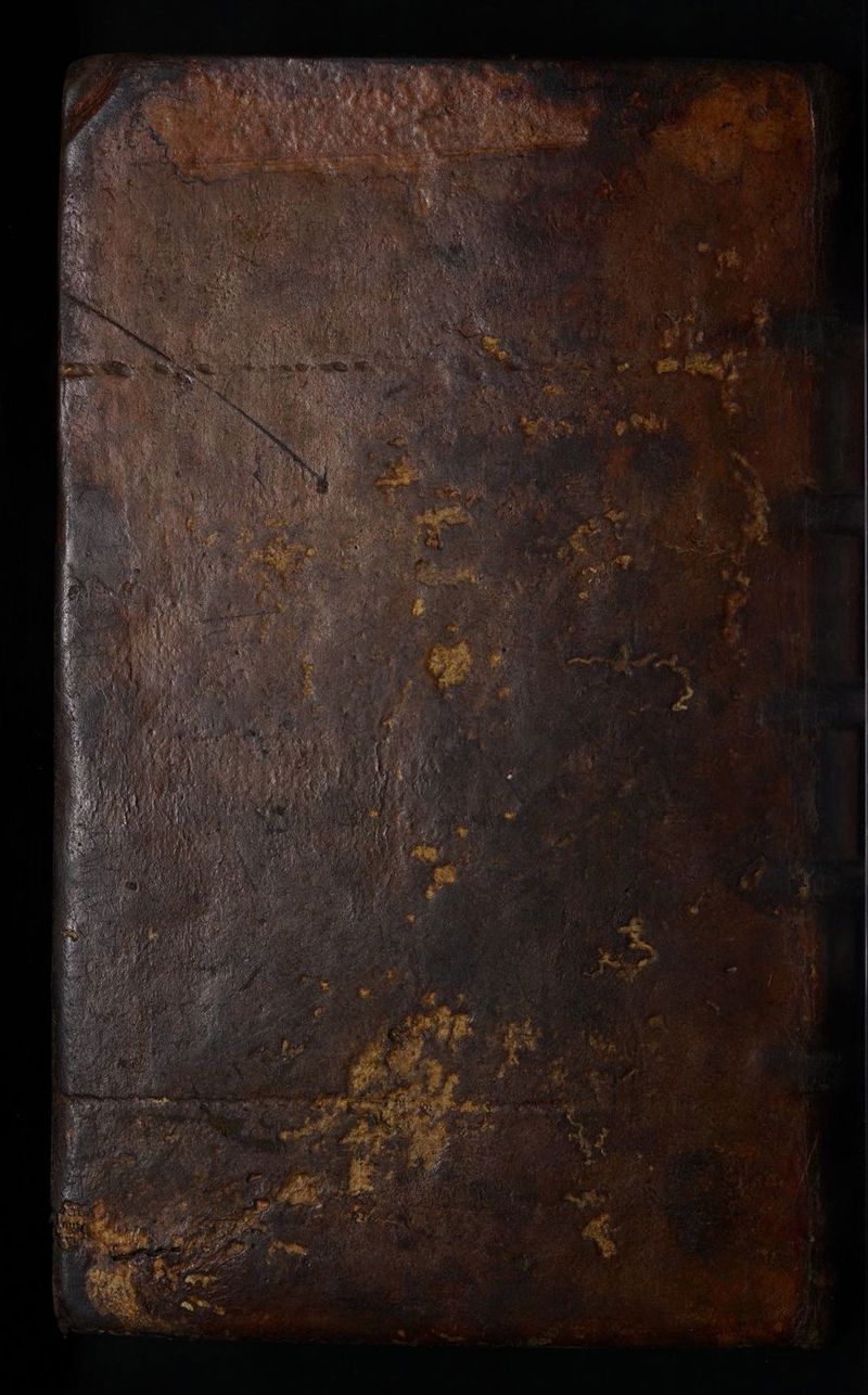 No text description is available for this image