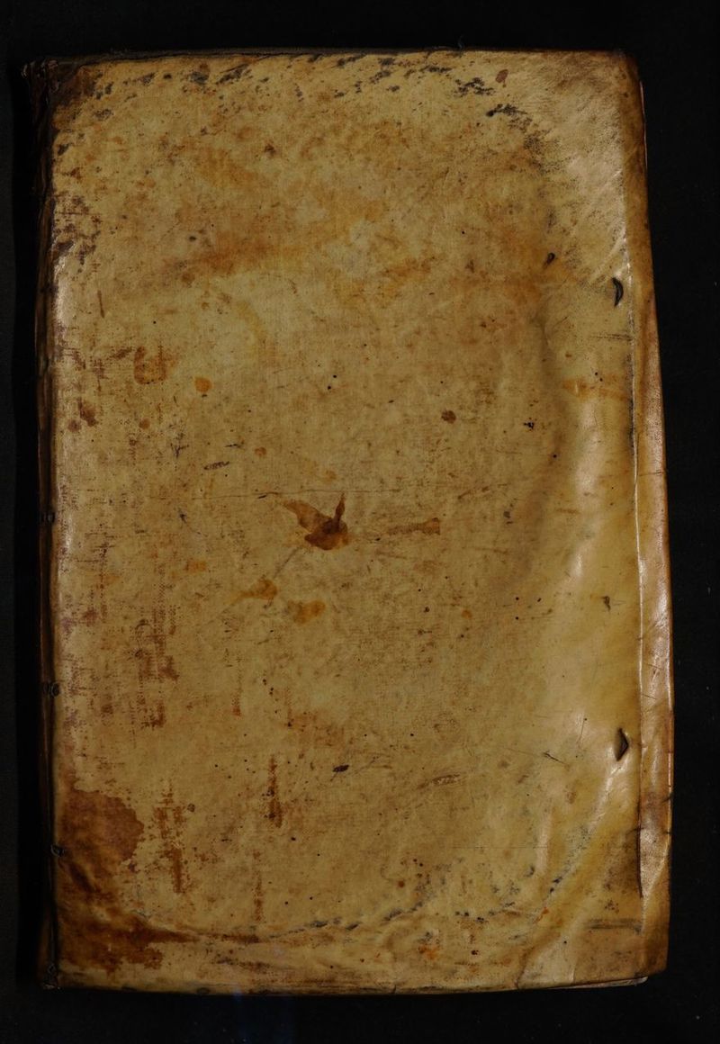 No text description is available for this image