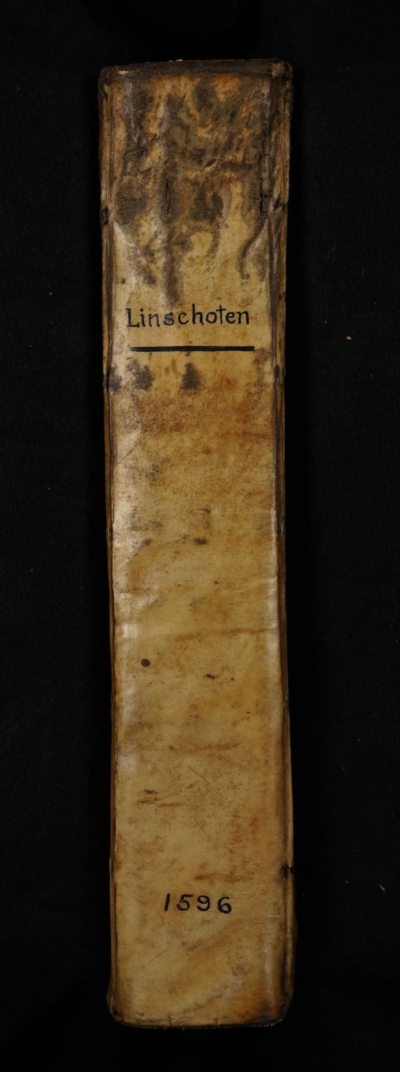 No text description is available for this image