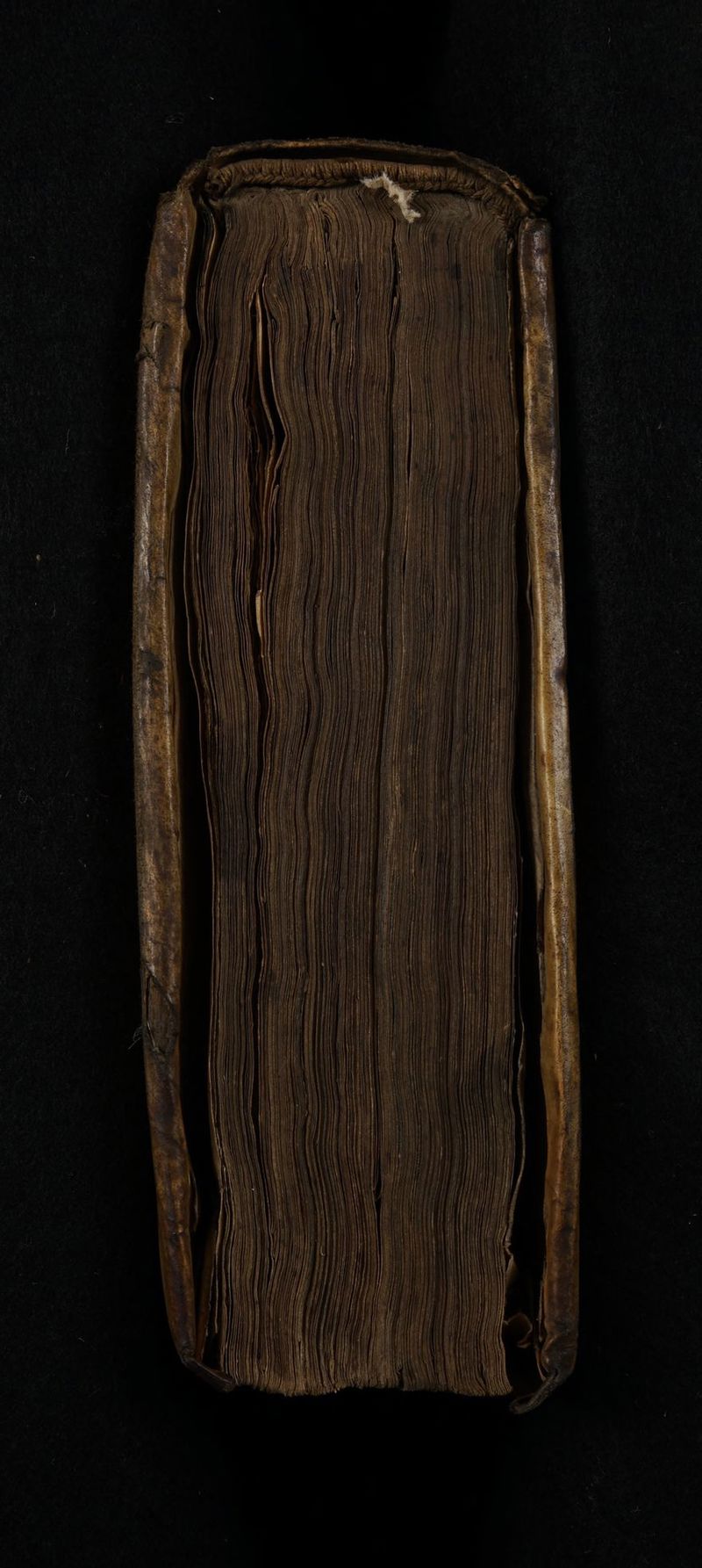 3 * a Dn nnen 2 n Pan N 1 \ Nas ne 6 Ht Mn * . ö 4 meent,