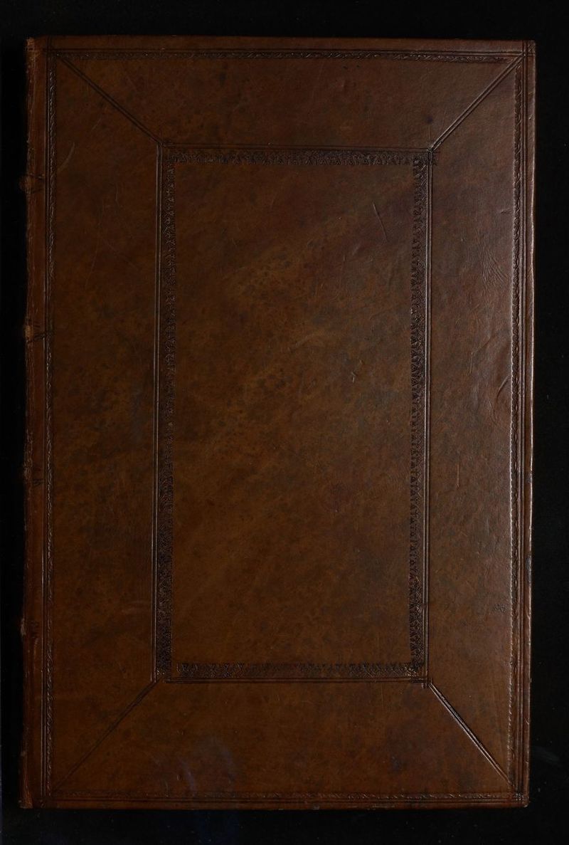 No text description is available for this image