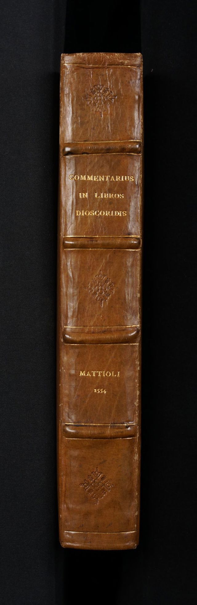 No text description is available for this image