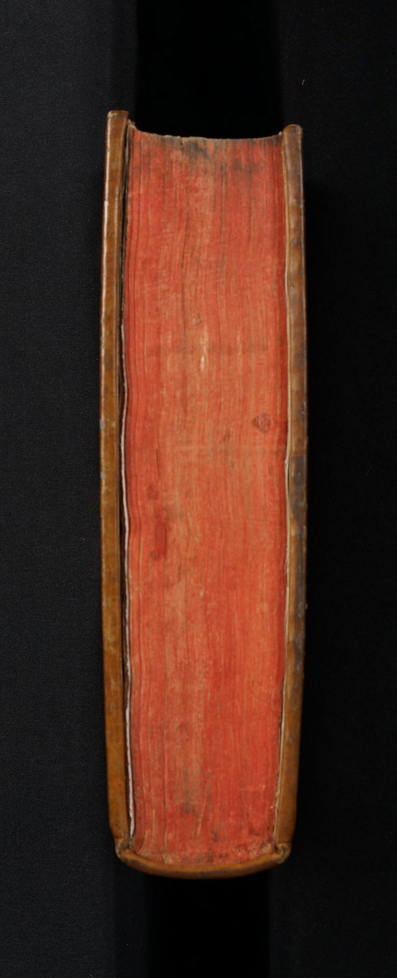 No text description is available for this image