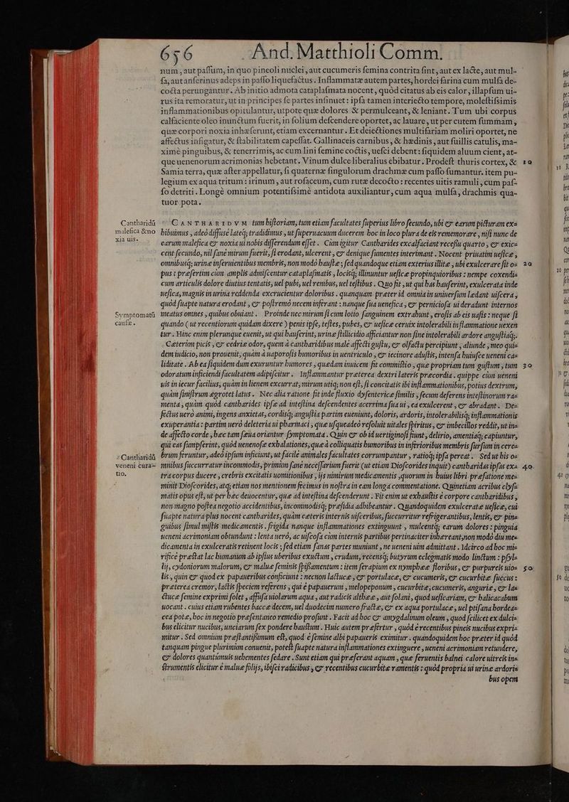 Cantbaridà malefica &amp;no xia uiS. Symptomatü caufz. * Cantharidü veneni cüfa- tio. 656 —— -And.Matthioli Comm. fa, autanferinus adeps in paffo liquefactus. Inflammatz autem partes, hordei farina cum mulfà de- co&amp;a perungantur. Ab initio admota cataplafmata nocent , quód citatus ab eis calor, illapfum ui- rus ita remoratur, ut in principes fc partes infinuet: ipfa tamen interiecto tempore, moleftifsimis inflammationibus opitulantur, utpote quz dolores &amp; permulceant, &amp; leniant. Tum ubi corpus calfaciente oleo inunétum fuerit, in folium defcendere oportet, ac lauare , ut per cutem fümmam, que corpori noxia inhzferunt, etiam excernantur. Et deiectiones multifariam moliri oportet, ne affectus infigatur, &amp; ftabilitatem capeffat. Gallinaceis carnibus , &amp; hzdinis , aut fuillis catulis, ma- ximé pinguibus, &amp; tenerrimis, ac cum lini femine co&amp;is : uefci debent: fiquidem aluum cient, at- que uenenorum acrimonias hebetant. Vinum dulceliberalius ebibatur. Prodeft thuris cortex, &amp; Samia terra, quz after appellatur, fi quaternz fingulorum drachmz cum paffo fumantur. item pu- legium exaqua tritum : irinum , aut rofaceum, cum rut decocto : recentes uitis ramuli , cum pat- fo detriti. Longé omnium potentifsimé antidota auxiliantur, cum aqua mulfa, drachmis qua- tuor pota. CawNTHARIDVM mbifloriam,tumetiam facultates fuperius libro fecundo, ubi e» earum picturam exa bibuimus , adeo diffuse lateq; tradidimus , ut fuperuacuum ducerem: boc in loco plura de eis rememorare , nifi nunc de earum malefica ez noxia ui nobis differendum e[Jet .. Cm igitur Cantharides excalfaciant receftu quarto , €7 exicz cent fecundo, nil fane mirum fuerit, fi erodant, ulcerent , e denique fumentes interimant . Nocent priuatim uefice , omnibusqs urine inferuientibus viembris, non modo baufLe ; fed quandoque etiam exterius illite , ubi exulcerare fit oz pus: praefertim cum. amplis admifcentur cataplafmatis , locisq; illinuntur uefice propinquioribus : nempe coxendi- cum articulis dolore diutius tentatis, uel pubi, uel renibus, uel teflibus . Qo wo fit ,ut qui bas bauferint, exulcerata inde uefica, magnis in urina reddenda excrucientur doloribus . quanquam. preter id omnia itt uniuerfum Ledant uifcera ; quod fuapte natura erodant , e? poflremo necem inferant : nanque fua uenefica , ez perniciofa ui deradunt internos meatus onihes , quibus obulant .— Proinde nec mirum fi cum lotio fanguinem extrabunt , erofis ab cis uafis : neque fi quando ( ut recentiorum quidam dixere ) penis ipfe, teles; pubes, ez ucfice ceruix intolerabili inflammatione uexen tur . Hinc enim plerunque euenit, ut qui baufevint, urine fLllicidio efficiantur non fine intolerabili ardore anguftiaq;. Ceteri picis , ey cedrie odor, quem à cantbaridibus male affecti guflu, ev olfattu percipiunt , aliunde ,meo quiz dem iudicio, non prouenit, quam à uaporofis bumoribus in uentriculo , € iecinore adujlis, intenfa buiufce ueneni cae liditate . Ab ea fiquidem dum exuruntur bumores , quedam inuicem fit commistio , que propriam tum guftum , tum odoratum inficiendi facultatem adipifcitur .— Ynflammantur preterea dextri lateris praecordia . quippe ciim ueneni uis in iecur facilius, quam in lienem excurrat, mirum utiq; non efl, fi concitatis ibi inflammationibus, potius dextrum; quàm [iniftrum egrotet latus. Nec alia vatione fit inde fluxio dyfenterice fimilis ; fecum deferens inteflinovum rae menta , quam. quod. cantbarides ipfe ad inteftina. defcendentes acerrima fua ui , ca exulcerent , e abradant.. Dez féctus uero animi, ingens anxictas, cordisqs angu/Ha partim eueniunt, doloris, avdoris, intolerabilisq; inflammationis exuperantia : partim uero deleteria ui pbarmaci , que ufqueadeo refoluit uitales fpiritus , cz imbecillos veddit, ut ine de affecto corde , bec tam fieua oriantur f(ymptomata . Q uin es* ob id uertiginofi ftunt , delirio, amentiaq; capiuntur, qui eas fampferint, quod uenenofe exbalationes;que à colliquatis humoribus in inferioribus membris furfum in ceres brum feruntur, adeó ipfum inficit ut facile animales facultates corrumpantur , vatioq; ipfa pereat .— Sedut bis o» mnibus fuccuvratur incommodis, primm fane nece[favium fuerit (ut etiam Diofcorides inquit) cantbaridas ipfas ex tracorpus ducere , crebris excitatis uowitionibus , ijs nimirum medicamentis quorum in buius libri: preefatione mes minit Diofcorides, atq; etiam nos mentionem fecimus in noflra in eam longa commentatione. Cy uinetiam acribus clyf- matis opus efl, ut per bec deuocentur, que ad inteftina defcenderunt . Yit enim ut exbaustis € corpore cantbaridibus , non gno po[Lea negotio accidentibus, incommodisq; prefidia adbibeantur . Cyuandoquidem exulceratee uefice, cui fuapte natura plus nocent cantbarides, quàm ceteris internis uifceribus, füccurritur refrigerantibus, lentis, ezpina guibus fimul miftis medicamentis . frigida nanque inflammationes extinguunt , mulcentd; earum dolores : pinguia teneni acrimoniam obtundunt : lenta uero, ac uifcofa cim internis partibus pertinaciter inbereant,non modo diu mes dicamenta in exulceratis retinent locis ; fed etiam fanas partes muniunt , ne ueneni uim admittant . Ydcirco ad boc mi- vifice prestat lac bumanum ab ipfius uberibus exuctum , crudum, recensq; butyrum eclegmatis modo linftum : pfyl- lij, cydoniorum malorum, ez malue feminis fbiffamentum : item ferapium ex nympbee floribus , e» purpureis uio- lis , quin ez quod ex papaueribus conficiunt : nection lactuce e portulace, ez cucumeris, e cucurbite fuccus : preterea cremor, lactis [peciem veferens , qui e papauerum , melopeponum , cucurbite cucumeris, angurie , cz las &amp;uce femine exprimi folet , affufa uiolarum aqua , aut vadicis altbee , aut folani , quod ueficariam, e» balicacabum Wocant . culus etiam vubentes baccee decem, uel duodecim numero frate, c ex aqua portulace , ucl ptifanabordea- cea pote, boc in negotio prefentaneo remedio profunt . Facit ad boc cz amygdalinum oleum , quod fcilicet ex dulcis bus elicitur nucibus, unciarum fex pondere baustum . Huic autem prefertur , quód e recentibus pincis nucibus expriz wütur . Sed omnium prefTantifsimum est, quod. c femine albi papaueris eximitur . quandoquidem boc preter id quód tanquam pingue plurimi conuenit, potest fuapte natura inlammationes extinguere , ueneni acrimoniam vetundere, €? dolores quantiamuis ucbementes fedave . Sunt etiam qui preferant aquam , que feruentis balnei calore uitreis ina grumentis elicitur € malue folijs, ibifci radicibus , qz recentibus cucurbite vamentis : quod propria ul urine ardoris bus opem tQ 20 30 so