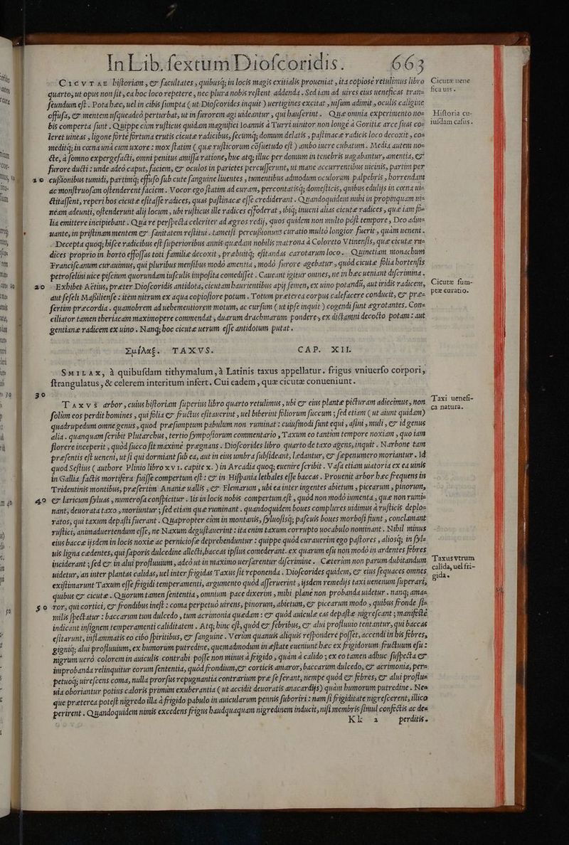 An o WT A UUA ; p dz agit nd * m :  ^ L] f, e id LI : y P In Lib.fextum Diofcoridis. 663 Caicvraz bifloriam , ev facultates , quibusq; in locis magis exitialis proueniat , ita copiose retulimus libro quarto, ut opus non fit , ea boc loco repetere , nec plura nobis reflent. addenda . Sed iam ad. uires eius ueneficas tran m feundum cft . Potabec, ucl in cibis fumpta ( ut Diofcorides inquit ) uertigines excitat , uifum adimit , oculis caligine offufa, e mente ufqueadco perturbat, ut in furorem agi uideantur , qui bauferint. Que omnia experimento noz | bis comperta funt . Quippe cim rujlicus quidam magnifici Yoannis à Turri uinitor non longe à Goritiz arce fuas coz | leret uineas , ligone forte fortuna erutis cicute vadicibus, fecumq; domum delatis , pajLinac«e dicis loco decoxit , cos iln | meditq; in coena und cim uxore z mox ftatim ( qua vufticorum cóft uetudo ejt ) ambo luere cubatum . Medit autem nos - cte, 4 fomno expergefacti, onmi peritus amiffa ratione, buc atq; illuc per donum in tenebris uagaban tur, dintentia, C7 i furore ducti : unde adeo caput; facien, €7' oculos in parictes percu[ferunt, ut mane accurrentibus utcinis, partim per 15 a0 cufionibustumidi,partimq; cffufo fub cute fanguine liuentes , tumentibus admodum oculorum palpebris , borrendam E J ac mon[Eruofam oftenderent faciem . V ocor cgo flatim ad curam, percontatisq; dorieflicis, quibus edulijs in coena ui- un | &amp;itaffent, reperi bos cicute editaffe radices, quas paflinace e[fe crediderant . Quandoquidem mibi ia propinquam tie y neam adeunti, oftenderunt alij locum , ubi ruflicus ille radices cjoderat , ibiq; inueni alias cicute radices , que tam foe ^ 5 lia emittere incipiebant . Qua ve per[pecta celeriter ad egros redij, quos quidem non multo poft tempore , Dco «dit LM uante, in priftinam mentem e2* fanitatem veflitui . tametfi percufsionurs curatio multo longior fucrit , quàm ueneni . Po | - Decepta quoq; bifce vadicibus eft fuperioribus annis.quedam nobilis matrona á Colereto Vtinenfis, que cicuta vite ^ dices proprio in borto effo[fas toti familie decoxit prebuitq; efitandas carotarum loco... Quinetiam monachum m a francifcanum curauimus, qui pluribus menfibus modo amentia , modo furore agebatur ; quód cicute folia bortenfis  oa petrofelini uice pifcium quorundam iufculis impofita comedi[Jet . Caueant igitur oinnes, ne in bec ueniaut difcrimina . (Ule iQ | 2o -Exbibet A&amp;tius, preter Diofcoridis antidota, cicutam baurientibus apij femen, ex uino potandit, aut iridis vadicent, - E aut fefeli Mafeilienfe : item nitrum ex aqua copioflore potum . Totum preeterca cov pus calefacere conducit, ez pre LEES fertim precordia . quamobrem ad uebementiorem motum, ac cuv fim ( ut ipfe inquit ) cogendi funt egrotantes. Con- Wn M ciliator tamen theriacaim maximopere commendat , duarum drachmarum: pondere s ex dickamni decocto potam z aut i gentiane radicem ex uino . Nanq; boc cicute uerum eJe antidotum putat . lt v a XuíAxf.. TÁXVS. CAP SOMB ki N | i | Swirax, à quibufdam tithymalum,à Latinis taxus appellatur. frigus vniuerfo corpori j i ftrangulatus , &amp; celerem interitum infert. Cui eadem , quz cicutz conueniunt. ' 30 3 o T | Taxvs arbor ,cuiusbiftoriam fuperius libro quarto vetulimus , ubi e eius plante pitturam adiecimus , non folim eos perdit bomines , qui folia e fructus efitauerint , uel biberint foliorum fuccum ; fid etiam ( ut alunt quidam) quadrupedum omne genus , quod prefumptum pabulum non, vununat : culufinodi funt equi , afini , muli , ez id genus d alia . quanquam feribit Plutarchus , tertio fympofiorum commentario , Taxum co tantiim tempore noxiam , quo iam I florere inceperit , quod fucco fit maxime pragnans . Diofcorides libro quarto de taxo agens, inquit . Narbone tant prefentis eft ueneni, ut fi qui dormiant fub ea, aut in eius umbra fubfideant, ledantur, 7 fepenumero moriantur . 1d quod Seflius ( authore Vlinio libro x v 1. capite x. ) in Arcadia quoq; euenire fcribit . Vafa etiam uiatoria ex ea uinis in Gallia factis mortifera fuiffe compertum eft : c» in Hifpania lethales e[fe baccas . Prouenit arbor bec frequens in | Tridentinis montibus, prefertim. Anatie uallis ; ey Flemarum , ubi ca inter ingentes abictum , picearum , pinorum, np 4e C larium forluas ,numerofa confpicitur . lis in locis nobis compertum.eft , quod non modo iumenta , que non rurie nant; deuorata taxo ,ntoriuntur s féd etiam que vuminant . quandoquidem boues complures uidimus à vufticis deplos vatos, qui taxum depafli fuerant . Quapropter cim in montanis, (yluofísq; pafcuis boues morbofi fiunt , conclamant vuflici, animaduertendum cffe, ne Naxum degufTauerint z ita enim taxum corrupto uocabulo nominant . Nibil minus eius bacce ijsdem in locis noxie ac perniciofze deprebenduntur : quippe quód curauerim ego pafLores , aliosq; in (yl: uis ligna cedentes; qui faporis dulcedine allccti;baccas ipfius comederant.. ex quarum efi non modó in ardentes febres inciderant ; fed e in alui profluuium , adcó ut in maximo uerfarentur difcrimine ..C terum non parum dubitandum | uidetur, an inter plantas calidas, uel inter frigidas Taxus fit veponenda . Diofcorides quidem, e elus fequaces omnes | exiftimarunt Taxum efe frigidi temperamenti, argumento quód afferuerint ,ijsdem remedijs taxi uenenum fuperari, | quibus e cicute . Quuorum tamen fententia , omntum. pace dixerim , mibi plane non probanda uidetur . nanq; ama | so ror, quicortici, c7 frondibus ineft : coma perpetuó uirens, pinorum, abictum, ey picearum modo , quibus fronde fi- milis (pe&amp;tatur : baccarum tum dulcedo , tum acrimonia quedam : ez quód auicule cas depafte nigrefcant ; manifeste | indicant infignem temperamenti caliditatem . Atq; binc eft, quod e febribus, e alui profluuio tentantur, qui baccas a efitarunt, inflammatis eo cibo fpiritibus, e7 fanguine . Verum quanuis aliquis refponderé poffet, accendi in bis febres, ^ g gigniq; alui profluuium, ex bumorum putredine, quemadmodum in effate eueniiunt bec ex frigidorum. fru&amp;uwm efu : nigrum ueró colorem in auiculis contrabi poffe non minus 4 frigido , quàm à calido ; ex eo tamen adbuc. füfpecta er improbanda relinquitur eorum fententia, quod frondium,ez corticis amarov; baccarum dulcedo, €z* acrimonia, perz E petuo; uirefcens coma, nulla provfis repugnantia contrarium pr« fe ferant, nempe quod e febres, e alui proflue ^ siia oboriantur potius caloris primum exuberantia ( ut accidit deuoratis anacardijs) quàm bumorum putredine . Nea que preterea pote[I nigredo illa 4 frigido pabulo in auicularum pennis fuboriri : nam fi frigiditate nigrefcerent, illico perirent . Quandoquidem nimis excedens frigus baudquaquam nigredinem inducit, nifi vnembris firaul confectis ac des ; Kk a perditis . jn Cicut&amp; uene hica uis. Hiftoria cu- iuídam cafus. Cicutz füm- pte «uratio. laxi uenefi- ca natura. Taxus vtrum calida, uel fri- gida L