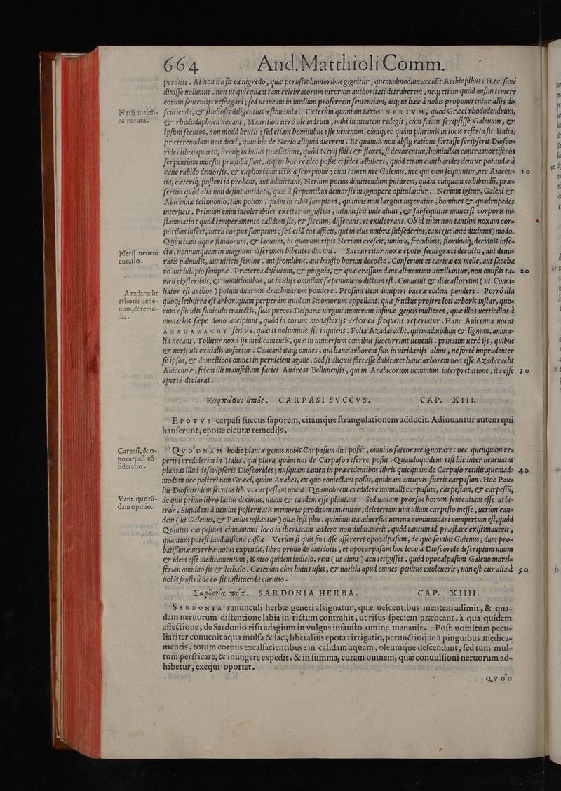 Nerj ueneni curatio. Azadaracht arboris uene- num,&amp; reme- 1 Gaia. Carpafi, &amp; o- pocarpafi có- fideratio . Vana quorü- dam opinio. 664. And.Matthioli Comm... - perditis .. At non ita fit ea nigredo, que peruftis bumoribus gignitur , quemadmodum accidit Actbiopibus Hec fane dixzilfe uoluntus , non ut quicquam tam celebratorum uirorum autboritati detraberem , neq; etiam quod aufim temere corum fententijs reffagari ; fed ut meam in medium proferrem fententiam, atq; ut bec 4 nobis proponerentur alijs dis fcutienda, eg [Fudiofís diligentius eflimanda ./ Caterüm quoniam taxis N &amp; R 1 v w quod Greci rbododendrum, ex rbododapbnen uocant , Mauritani uero oleandrum , mibi in mentem vedegit , cm fciam fcripfiffe Galenum ; ez ipfum fecutos, non stodó brutis ; fed etiam bominibus effe uenenum, cmq; eo quàm plurimis in locis referta fit Xtalia, praetereundum non duxi , quin bic de Nerio aliquid dicerem . Et quanuis non abfdj; ratione fortafJe fcripferit-Diofcos rides libro quarto; itemq; in buius prefatione, quod N erij folia e flores, fi deuorentur, bominibus contramortiferos ferpentium mov fus prefidia funt, atq; in bac ve ideo pofstt ei fides adbiberi , quód etiam cantbarides dentur potande à cane rabido demorfis, ez eupborbium ictis à fcorpione ; ctm tamen nec Galenus, nec qui eum fequuntur nec Auicetne tia, ceteriqs pofleri id probent, aut adiittant, Nerium potius dimittendum putarem; quam cuiquam exbibendi, prz fértim quod alia non defint antidota, que à ferpentibus demorfis magnopere opitulantur .. Nerium igitur, Galeni ez Auicenné testimonio, tam potum , quam in cibis fumptum , quanuls non largius ingeratur ; bomines cz quadrupedes interficit . Primum enim intolerabiles excitat anguftias , intumefcit inde aluus , e fubfequitur uniuerfi corporis in flammatio : quód temperamento calidum fit, es ficcum, di[Jecans, et exulcerans. Ob id enim non tantàm noxam corz poribus infert, intra corpus fumptum ; fed etiá eos afficit, qui in eius umbra fübfedevint, taxi (ut ante diximus) modo. C uinetiam aque fluuiorum, ez lacuum, in quorum ripis Nerium crefcit, umbra, frondibus, floribusq; deciduis infes de, nonnunquam in magnum: difcrimen bibentes ducunt. — Succurritur noxe epoto feni greci decocto , aut deuoz ratis palmulis, aut uiticis femine , aut frondibus, aut baufto borum decocto . Conferunt et carice ex melle, aut faccha ro aut iulapio fumptee . Preterea defrutum, ez pinguia, e» que crafJum dant alimentum auxiliantur, non omiféis ta- men clyfleribus, ez uonitionibus , ut in alijs omuibus fepenumero dictum eft . Conuenit ez diaca]loreum ( ut. Conci- liator eft author ) potum duarum dracbmarum pondere . Profünt item iuniperi bacce codem pondere .. Porro illa quoq; letbifera eft arbor,quam perperám quidam Sicomorum appellant, que fructus profert loti arboris inflar, quos rum ofsiculis funiculo traiectis, fias preces Deipare utrgini numerant infime gentis mulieres , que illos uerticillos à ttionacbis fepe dono accipiunt , quod in eorum monaflerijs arbor ea frequens veperiatur Hanc Auicenna uocat AZADARACHT fenva.quartiuoluminis, fic inquiens . Folia Azadaracbt, quemadmodum e lignum, animas lia necant . Tollitur noxa ijs medicamentis, que in uniuerfum omnibus fuccurrunt uenenis . priuatim uero ijs , quibus ez nerij uis cxitialis aufertur . Caueant itaq; omnes , qui banc arborem fuis in uiridarijs. altmt , ne forte imprudenter fe ipfos, e domeflicos omnes in perniciem agant . Scd fi aliquis fovta[Je dubitaret banc arborem non e[Je Azadaracht lo 20 dperte declarat . KopeWoow0mof. CAÁRPAÁSISVCCVS. CAP. XILk EProrvs carpafifüccus faporem, citamque ftrangulationem adducit. Adiuuantur autem qui hauferunt, epotz cicutz remedijs. | Qv o'oww bodieplante genus nobis Carpafian dici pofiit , omnino fateor me ignovare : nec quenquam ves periri crediderim in Malia ; qui plura quàm nos de. Carpafo referre poft : Quandoquidem: etfi bic inter wenenatas modum nec pofleri tam Greci, quàm &amp;vabes, ex quo coniectari pofsit, quidnam antiquis fuerit carpafim.: Hoc Paus lis Diofcoridem fecutus lib. v . carpefiam uocat. Quamobrem credidere nonnulli carpafum, carpefiam, e carpefitt, de quo primo libro latius diximus, unam ez eandem effe plantam. Sed uanam. prorfus borum fententiam effe. arbis tror . Siquidem à nemine pofteritatis memorie proditum inuenitur, deleteriam uim ullam cavpefto ineffe , uerim cane dem ( ut Galenus, ez Paulus tefLantur ) que ipfi pbu . quinimo ita aduerfus wenena commendari compertum cfl;quod Quintus carpefium cinnamomi loco in tberiacam addere non dubitauevit , quod tantum id preflare exifHmauerit , quantum poteft laudatifsima cafria .. Verim fi quis fortaffe affeverct opocalpafum. de quo fcribit Galenus dum pros batiftme wyrrbe notas expendit, libro prinio de antidotis ; et opocavpafum boc loco 4 Diofcoride defcriptum unum e ident e[fe medicamentum ; is meo quident iudicio, rem ( ut aiunt ) acu tetigiffet , quod opocalpafum Galeno morti- itobis f»uftrá de eo [it inflituenda curatto -  S&amp;npowra'ranunculi herbz generiafsignatur, quz uefcentibus mentem adimit, &amp; qua- dam neruorum diftentionelabia in ricum contrahit, ut rifus fpeciem przbeant.à qua quidem affectione , de Sardonio rifu adagium in vulgus infaufto omine manauit. Poft uomitum pecu- liariter conuenitaqua mulfa &amp; lac; liberaliüs epota : irrigatio; perun&amp;tiodueà pinguibus medica- mentis , totum corpus excalfacientibus:in calidamaquam , oleumque defcendant , fed tum mul- tum perfricare, &amp; inungere expedit. &amp; in fumma, curam omnem, qua conuulfioni neruorum ad- hibetur, exequi oportet. Q.v o'p y
