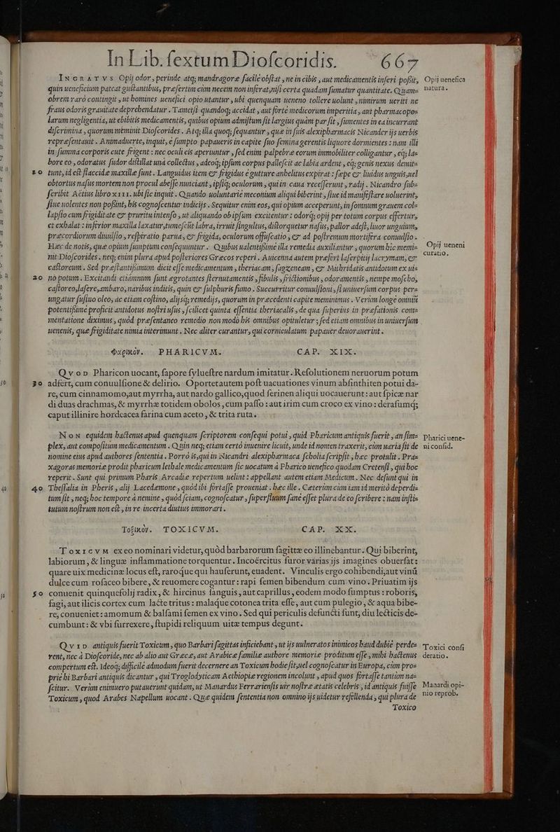 j0 2o 30 Würfyr OXDU c en ESQ T A OE EADEM quin uencficium pateat gustantibus, prefertim cám necem non infevat;nifi certa quadam fümatur quantitate. uam obreyt raro contingit , ut bomines uenefici opio utantur , ubi quenquam ueneno tollere uolunt , nimirum ueriti ne fraus odoris grauitate deprebendatur . Tametfi quandoqg accidat , aut forte medicorum imperitia , ant phavmacopo- larum negligentia, ut ebibitis medicamentis, quibus opium admiflum fit largius quam par [it , (amentes in ea incurrant difcrimina , quorum meminit Diofcorides . A tq; illa quoq; fequantur , que in fuis alexipbarmacis Nicander ijs uerbis veprefentauit . Animaduerte, inquit, e [umpto papaueris in capite fuo femina erentis liquore dormientes : nam illi in fumma corporis cute frigent : nec oculi eis aperiuntur , féd enim palpebree corum immobiliter colligantur , eq; las bore eo , odoratus fudor distllat uná collectus , adcoq; ipfum corpus pallefcit ac labia ardent , cq; genis nexus demit tunt, id est flaccide maxille [unt . Languidus item e7' frigidus € gutture anbelitus expirat : fepe ez liuidus unguis uel obtortus nafus mortem non procul abefJe nuiciant ipfiq; oculorum , qui in. caua vecefJerunt , radij . Nicandro fube fcribit Actius libro xxx1. ubi fic inquit . Quando uoluttarie meconium aliqui biberint , fiue id manfeflare uoluerint, fite uolentes non pofünt, bis cognofcettur indicis . Sequitur enim eos, qui opitum acceperunt, in fommum gvauem cole lapfio cum frigiditate e» pruvitu intenfo , ut aliquando ob ipfum: excitentur : odorq; opij per totum corpus cffertur, ct exbalat : inferior maxilla laxaturtumefciit labra, irruit [ingultus, ditorquetur nafus,pallor adeft, lior unguium, précordiorum diuulfio , refpiratio parua, ev frigida, oculorum offufcatio , e ad poflremum mortifera conuulfio . Hac de notis, que opium fumptum confequuntur ... Quibus ualentifsime illa remedia auxiliantur ; quorum bic meri- nit Diofcorides . neq; enim plura apud po[leriores Grecos reperi . Auicenna autem prefevt laferpitij lacrymam, ez casloreun . Sed prefLautifsmum dicit efe medicamentum , tberiacam ; fagzeneam , e Mithridatis antidotum ex ut- no potum . Excitandi etiámnum funt egrotantes fLernutamentis ,fibulis , frictionibus , odoramentis , nempe mofcbo, caftoreo;lafere,ambaros naribus inditis, quin ez fulphuris fumo . Succurritur conuulfioni fi uniter[üm corpus pera ungatur fufiuo oleo, 4c etiam coflino, alij sq; remedijs, quorum in precedenti capite meminimus . V erüm longe omnit potentifüme proficit antidotus noftri ufus , fcilicet quinta. efentia theriacalis , de qua fuperius in praefationis come mentatione diximus , quod: prefentaneo remedio non modo bis omnibus opituletur ; fed etiam omnibus in uniuerfum uenenis, que frigiditate nimia interimunt . Nec aliter curantur, qui corniculatum papauer deuorauer int . $ugltog. PHÁRICVM. Cul dorso IN von Pharicon uocant, fapore fylueftre nardum imitatur. Refolutionem neruorum potum adfert, cum conuulfione &amp; delirio. Oportetautem poft uacuationes vinum abfinthiten potui da- re, cum cinnamomo;aut myrrha, aut nardo gallico;quod ferinen aliqui uocauerunt: aut fpicze nar di duas drachmas, &amp; myrrhe totidem obolos , cum paffo : aut irim cum croco ex vino: derafumd; caput illinire hordcacea farina cum aceto , &amp; trita ruta. Now equidem bactenus apud quenquam fcriptorem confequi potul , quid Pbaricum antiquis fuerit , an fint plex, aut compojitum medicamentum . Q in neq; etlam certo inuenire licult, unde id nonten traxerit, cám uaria fit de nomine eius apud authores fententia . Porro is,qui in Nicandri alexipbarmaca fcbolia fcripfit ; bec protulit . Paz xagoras memori prodit phavicum lethale medicamentum fic uocatum à Pbarico uenefico quodam Cretenfi , qui hoc veperit. Sunt qui prünum Pbaris. Arcadie repertum uelint : appellant autem etiam Medicum. Nec defunt qui in The[lalia in Pberis , alij Lacedemone , quod ibi fortafJe proueniat . bec ille . Ceteri cum iam id merito deperdi- tum fit , neq; boc tempore à nemine , quod fciam, cognofcatur ; faperfluum [ane effet plura de co fcribere : nam in[lis &amp;utum no[irum non est , in re incerta diutius immorari . Tofikoy. TOXICVM. CAP. XX. ToxrcvM exeonominari videtur, quód barbarorum fagittz eo illinebantur. Qui biberint, labiorum, &amp; lingue inflammationetorquentur. Incoércitus furor varias ijs 1magines obuerfàt: quare uix medicinz locus eft, raroquequi hauferunt, euadent. Vinculis ergo cohibendi;aut vinü dulce cum rofaceo bibere, &amp; reuomere cogantur: rapi femen bibendum cum vino. Priuatim ijs conuenit quinquefolij radix, &amp; hircinus fanguis , aut caprillus, eodem modo fumptus : roboris, fagi, aut ilicis cortex cum lacte tritus: malaque cotonca trita effe, aut cum pulegio , &amp; aqua bibe- re, conueniet:xamomum &amp; balfami femen ex vino. Sed qui periculis defuncti funt, diu lecticis de- cumbunt: &amp; vbi furrexere , ftupidi reliquum uite tempus degunt. Qv» antiquis fuerit Toxicum , quo Barbari fagittas inficiebant , ut ijs uulneratos inimicos baud dubie perdes rent, nec à Diofcoride, nec ab alio aut Grece, aut Arabice familie authore memorie proditum effe , mibi bactenus compertum est. 1deoq; difficile admodum fuerit decernere an Toxicum bodie fit,iel cognofcatur in Europa, cim proe prie bi Barbari antiquis dicantur , qui Troglodyticam Aetbiopie regionem incolunt , apud quos fortaffe tantim na fcitur.. Verim enimuero putauerunt quidam, ut Manardus Ferrarien 1s uir noftre tatis celebris ,id antiquis fuiffe Toxicum , quod Arabes N apellum uocant . Que quidem fententia non. omnino ijs uidetur vefellenda , qui je oxico natura. Opij ueneni curatio. Pharici uene- ni confid. 'Toxici confi deratio. Maaardi opi- nio reprob.