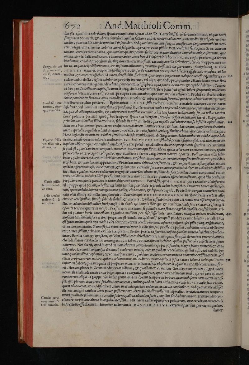 Sanguinis mé ftrui uencnü, eius jue cura- tio. Pardi fellis ue nenum , eius- que remedia. Vipera: fellis uenefica ulis, &amp; auxilia. Canis pifcis fellis uenenü, &amp; cura. Felis cerebri maleficiü , &amp; remedia. Caude cerui uenenum, &amp; eius curatio. 672 | : And.Matthioli Comm. bus ifte. afflictus , crebro bumi [puma coinquinatus alpitat . bec ille. Ceterüm fi forte fortuna euenerit , ta quis tauri fanguinem potauerit, ez* ad cum domestici , quibus factum con[let, medicos aduocent , tunc medici ijs uti poterunt ve- medijs , quorum bic abunde meminit Diofcorides . Sed quoniam taurinus fanguis menfbruum fanguinem mibi in menz ter vedegit, atq; etian bic nobis occurrit fel pardi, uipere;er canis pifcis : item cerebrum felis; quem Greci elurum WOCATIE y ceri extrema cauda , quorundam quadrupedum fiudor , e malum denique inprobatumq; caftoreum , que omnia inter lethalia medicamenta annumerantur , cm bec à Diofcoride in boc ueneorum cenfa pretermiffa depres bendantur, ct nobis propofitum fit, fingulorum uires maleficas, earumq; auxilia deferibere , bic locus opportunus uz fus eft, in quo de ijs diffeveremus , ez noflrum inftitutum , quantum po[Jumus exequeremur. Sangulsitag; MEN sTRVYYs muera, prefertimq; biliofarum , ez facilé rixantium potus , adeo bibentes effafcinat, ez inficit, ut lue naticos , €? amentes efficiat . 1d autem deteJtabilis facinoris quandoque perpetrant malefice uteneficeq; mulieres cae codamonibus duct , ipfum exbibendo proprijs maritis , uel alijs , quos odio profequuntur . Hulus tamen toxe fuüc- curritur contritis margaritis drachmae pondere ex melifJopbylli aqua potis : auxiliatur c» tepide balneum . Confert ad bec ( ut Conciliator inquit, fi tamen id abfq diuine legis initia fieri pofiit ) ut affetti bilari frequentiq; mulierum confortio letentur, cum eisq; co&amp;ant, precipue cum iuuenibus, que ravó nuptias celebrent. Pyode]l c» tberiaca dae ebnt.e pondere ex fumarie aqua quotidie pota . Profunt e uiperei pafilli fcrupuli pondere, additis tum margaritis, tum tberiaca eodem pondere. — Epoto aute. P. A &amp; D x. felle excitatur uomitus , ceu aloes amarore ,os e nares. inficiens : poft. uortitum uniuer fum corpus flauefcit y iftericorum modo : poflremá ea omnia confequuntur iticommos da, que ab afJumpto napello , ez à uiperarum moribus eueniunt , cám tam f'euum lethiferumq; fit , ut tribus tantàm boris potantes perat quod fi boc temporis fbatio non interficit , prorfus defberandum non fuerit . Expugnatur primum uomitionibus illico excitatis , fibinde ijs utiq; antidotis , que napello , uel uipere morfu infectis opitulantur . Auicenna buic ueneno peculiarem. conficit theriacam ex Yemnie terre , ez lauri baccavum ; fingulorumdrachita una : capreoli coaguli drachmis quatuor : myvrbe , ex ute feminis, cuiusq; femidrachma. que omnia vielle excipit - Hanc itgglandis quantitate exbibet , excitatis deinde womitionibus , ductis; demum. laborantibus in calide aque bal« neum, cul inferbuerint odorata medicamenta... Sed v vp gn ax. feladeó perniciofum exiflit, ut latim animi dez liquium adferat : quare variffime antidotis fuccurri poteft , quód nullum detur ca pr:eparandi fpatium . veruntámen fi quid cft , quod tam breui temporis momento: quicquam opis ferat y id erit quam celerrime excitatus totitus , epoto prins cocto butyro ,igne colliquato : quo uomitiones iterum , atq; iterum mouere oportet . Poft. tovtitus nibil faluz brius , quá theriaca , e? Mütbridatis antidotum; mofcbus , ambarum, ez corum compofita medicamenta , qu&amp; dias mofcbum, e diambarum appellantur . V bi autem animi deliquia pevfeuerant , ey corporis uniuer/i anguftia y uinunt. quidem offerendum eft , aut caporum , e gallinarum carnium. fuccus ex aque feruentis balneo in uafe uitreo diflillas Eus . Huc equidem nox«e crediderim magnifice aduerfari oleum noftrum de fcorpionibus j cuius componendi vatio- nem tradidimus in buius libri prefationis commentatione : itidem ez quinta effentiam noftram , quod icu oculi fuis perquam tenuifiimis partibus in totum deferatur corpus. — Porrófel, quodà c &amp; w 8. pifceeximitur jlethiferüm ejt . quippe quod potum, uel efitatum lentis tantàn quantitate, feptenis diebus interficiat . Curantur tamen quibaufez rint, cpoto bubulo butyro cum gentiane radice; cinnamomo; e» leporis coagulo . Prodest ez: corpus uniuer(um odoz ratis olcis illinire; c7 wictutenuifimo utl... Ceterimqui y» s11s cen gsnvm incibiscderint, crebris affiz ciuntur uertiginibus, fiuntas fübinde Solidi, e amentes . Q nibus etfi fubueniri pofüit id tamen non nifi temporis tras &amp;u, € admodum difficulter fieri potefl . Wis danda eft Lemnia fpbragis, e» uomitiones inde funt excitande , ficriq; id oportet ter, aut quater in menfe . Preftat item auxilium , fi quotidie mane fumant aegri diamofchi confedtionem , tris bus uel quatuor boris ante cibum . Quinimo mofcbus per fefe fufficienter auxiliatur : tianq; ut quidam tradiderunt, mofchus tantum buiufcé cerebri proprium eft. aitidotum , fi dimidij fcrupuli pondere ex uino bibatur ; Sed illudion eft ignórandum, quód non modo Feles deuorato corum cerebro bomines inficere po[Junt fed pilis quoq; vefpiratione; € oculorum intuitu. Nam etfi pili omnes imprudenter in cibis fümpti, prefocare pofint , anbelitus meatus obftriene Ecs s Eamen felium priuatim. exitiales cenfentur - Eorum preterea fpiritus tabifico quodam ueneno infe us deprehene ditur . Etenim nou ego quofdam, qui ctm felibus adeo delectarentur., ut nunquam fine ipfis dormitum peterent, attraz clo inde diutius acris uebiculo corum fPiritu , in tabem , ey marafium incidere . quibus pofIrenió confecti diem fuum obierunt . Nec diu efE quód in quodam monachorum coenobio uniuerfa perijt familia, magno felium numero; cz cone tubernio . Ledunt item fuo ( ut diximus ) oculorum intuitu, adeo ut quidam reperiantur, qui bis uifis, aut auditis, pae wore quodam illico capiantur y terrcanturq; maxime , quód non modó ex eorum weneno prouenire exiflimauerim ; fed etiam propria corum natura, qui eos uel intuentur, uel audiunt . quandoquidem ij fua natura talem à ccelo qualitatem influxam babent; que nunquam ad propriam mouetur actionem, nifi obijciatur id , quod natura fibi contrarium fue- rit. Horum. plures in Germania duntaxat uidimus , 7 quofdam ex ea natione Goritie commoratites . Q.ód autem uerim [it id aliunde euenire non poffe , quàm à congenita qualitate , que paucis admodum ineft , aperte fane oftendes vunt eorum aliqui . Quippe cim buius gentis quidam byemis tempore in bypocauftum nobifcum coenaturus intrafa feb; quó plurium amicorum fodalitas conuenerat , mulier quedam buius uiri nature confcia , ne is, uifo felis catulo, quem educauerat , iratus difcederet , illum in arcula quadam eodem in ceenaculo concluférat . Sed quanuis nec uidijet ille, nec audiffct catulum , cum pauco poft tempore aérem felis balitu infectum infpirafJet , ivritata Latin ea tetperas menti qualitate felium inimica, emifJo adore, pallida admodum facie , omnibus fane admirantibus , tremebundus cons: clamare ccepit y bic aliquo in angulo latet felis .. His autem eadem opem ferre putauevim , que cerebrum comedentis bus renicdio e[Je diximus, ynucnitur ctiémmumin c à v pAE cgmva extremis partibus porraccus quidam, . bumor 10 z0 zo 4o. $0 E T SEXESY r— b LH P