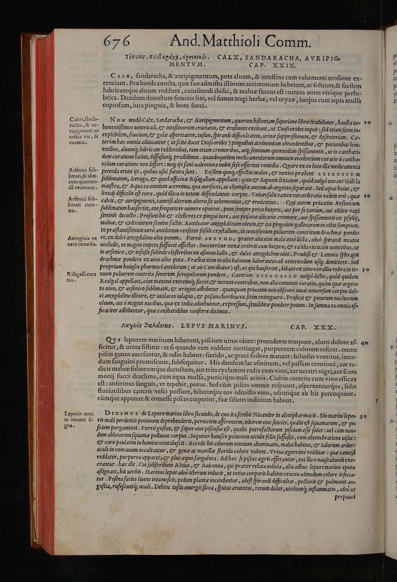Trao , Guy bue xu, dpocko. CALX, SANDARACHA, AVRIPIGe MENTVM. CRM Ta C «1x, fandaracha, &amp; auripigmentum, pota aluum, &amp; inteftina cum vehementi erofione ex- cruciant. Pre benda cuncta, quz fuo admiftu illorum acrimoniam hebetant, ac fi oluunt,&amp; facilem Iubricamque aluum reddunt , cuiufmodi ibifci , &amp; maluz fuccus eft: natura enim vtrique perlu- brica. Dandum deco&amp;um feminis lini, vel femen tragi herbz, vel oryzz, lacdue cum aqua mulfa copiofum, iura pinguia, &amp; boni fucci. Cilsfanda- — Now mtodó Calx, Sandavacha , e* Auripigmentum , quorum bifloriam fuperiore libro tradidimus , baufla ue- rache,&amp; au^ bemeptiimos wentriculi, cz intcflinorum cruciatus, cz erofiones excitant ,ttt Diofcorides inquit ; fed etiam fitim ins i ARE * a explebilem, faucium, ez gule afperitatem, tufsim, fpirandi difficultatem, urine fuppreftonem, cx dyfenteriam. Ce curatio. terim bec omnia adiuuantur ( ut fcite docet Diofcorides ) pinguibus acrimoniam obtundentibus ;€7* potionibus leniz entibus, aluumq; lubricam reddentibus, tum etiam cremoribus, atq; feminum quorundam fPiffamentis , ut in cantbariz dum curatione latius, diffufiusq; prodidimus . quandoquidem medicamentorum omnium crodentium curatio à cantbaz ridum curatione non differt z neq; ijs fane ualentiora nobis fefe offerunt remedia C uare ex eo loco illa medicamenta Arfenici füb-. petenda erunt ijs , quibus ufui futura funt. — Eofdem quoq; effectus malos , €» noxios prebent &amp; n sgN 16v M bisce fublimatum, Aerugo, €x quod officine R.ifagallum appellant : quin e Saponis lixiuium , quod uulgó uocant Mali la divenenum. P'dtfbra, € Aqua ea omnium acerrima, qua aurifices, ac chymfle aurum ab argento fepavant . Sed aque buius , ez lixiuij difficilis eft cura , quod illico in totum diffundantur corpus . Vuierfalis tamen curandivatio eadem erit ; que Arfenici füb-. calcis, es auyipigwenti, tametfi alterum altero fit uchementius , c erodentius . Qui autem priuatim. Av(enicum 2d un GUT füblimatum bauferint, eos frequenter uomere oportet poto femper prius butyro , aut per fe tantum, aut addito rapi feminis decocto . Profunt bis ez clySteres ex pingui iure , aut ptifanee alicette cremove , aut fpiffamentis ex pfyluj, malue, ez cydoniorum femine factis. Auxiliatur amygdalinum olewn,ez ius pinguium gallinarum in cibis fumptum. In preJHantifsmum ueró antidotum cenfetur foftile cryyftallum , in teuuiféinsum puluerem contritum dracbme pondes Aeruginis ue 6 ex dulci amygdalino oleo potum. Porro. às &amp; v G o, preter aliaeius mala ante dicla , adeo fpirandi meatus neniremedia. occludit, ut magno impetu fuffocet affcctos . Succurritur nox crebris cum butyro, c calida excitatis uomitibus, ut in ar[enico , ey infufis fubinde clyfleribus ex afinino lacte , €» dulci amygdalino oleo . Prodeff ez Lemnia [pbragis drachme pondere ex uino albo pota . Preftat item in olei balneum laborantes ad wentriculum ufq; demittere . Sed proprium buiufce pharmaci antidotum ( ut ait Conciliator) efl, ut qui bauferint , bibant ex uino corallia rubra in te- Rifigallicura uem puluerem contrita fenorum fcrupulorum pondere. Ceteri n1 $4 GALLO uulgo dicto , quod quidam tio. Realgal appellant, cim maxime extremeq; ficcet,ez neruos contrabat, non alia conuenit curatio, quám que argens to uiuo, €? arfenico fublimatis, e erugini adbibetur . quanquam priuatim non obfcure iuuat uniuerfum corpus dul« ci amygdalino illinire, e uiolaceo iulapio , e ptifana bordeacea fitim extinguere . Proficit e» piorum nucleozum oleun, aut e magnis nucibus, que ex Yndia aduebuntur,, expre[funt, fcmilibre pondere potum . 1n fumma ea omnia efz ficaciter adhibentur , que cantbaridibus conferre diximus . | Acyoog J&amp;ÀXwI. LEPVS MARINVS. CAP. XXX. yt leporem marinum biberunt, pifcium uirus olent: procedente tempore, aluus dolore af- ficitur , &amp; urina fiftitur:ct fi quando eam reddere contingat , purpureum colorem referet . omne pifcis genus auerfantur, &amp; odio habent: fcetido , ac graui fudore manant: biliofus vomitus, inter- dum fanguini promifcuus, fubfequitur. His dandum lacafininum , vel paffum continué , aut ra- dicis maluz foliorumque decoctum, aut trita cyclamini radix cum vino, aut ueratri nigriaut fcam monij fucci drachma, cum aqua mulfa, punicidue mali acinis. Cedria contrita cum vino efficax cft : anferinus fanguis, vt tepebit, potus. Sed cüm pifces omnes refpuant, afpernenturque, folis Ruuiatilibus cancris vefci poffunt, bibuntQue cos admifto vino, adiutique ab his percoquunt. cümque appetere &amp; comeffe pifces ceperint , fuz falutis indicium habent. Lepors mai — Dx vs deLeporemarino libro fecundo, de quo ita fcvibit Nicander in alexipbarmacis . Sin marinilepos ni veneni fi- ris male perdentis potionem deprebenderis, perniciem afferentem, odorem eius fenties, qualis eft fquamarum , ez pis gna: fcium purgamenti . Porró guflus, e fapor eius pifcofus eft , qualis putrefactorum pifcium e[Je folet : uel cim nona dum ablutorum fquame polluunt corpus . Sequitur buiufce potionem viridis fellis fiffufio , cum obtencbratione uifus : €? caro paulatim in bomine contabefcit . Accedit bis ciborum omnium abominatio, malus babitus, ez talorum ardor: oculi in concauum occultantur , e» gene ac maxille florido colore rubent . Vrina aegerrime redditur : que tametfi reddatur, purpurea apparetsez plus equo fanguinea . Ad bec fi pifces egris offerantur , cos lico naufcabundi exez erantur . bec ille . Cui fubferibunt A&amp;tius , e Auicenna, qui preter velata indicia , alia adbuc leporimarino epoto afnignant, bis uerbis . Marinus lepus adeo ickerum inducit , ut totius corporis babitus croceo admodum colore inficias tur . Poftea facies liuens intumefcit, pedum plante incenduntur , adeft [pirandi difficultas , pectoris ez pulmonis anz gujtia, rufefcuntd; oculi . Debine tuftis emergit ficca , [Putus cruentus , renum dolor, wiriliumq; inflammatio , adeó ut perpauci 1o 20 30 49 $0